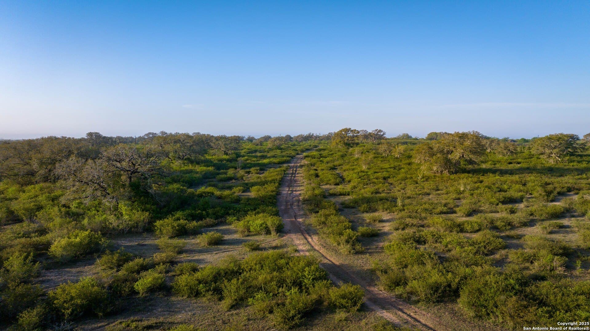 450 acres in Goliad County - photo 47