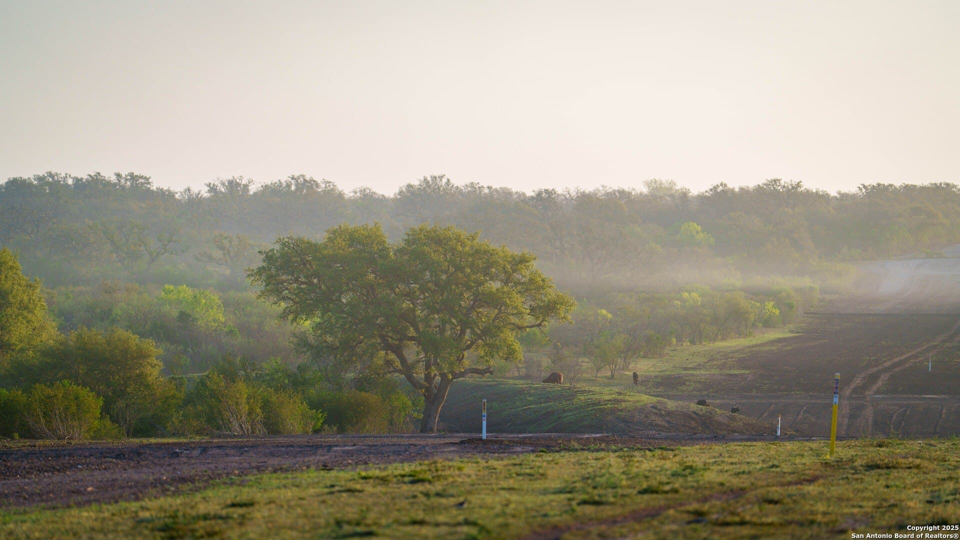 450 acres in Goliad County - photo 18