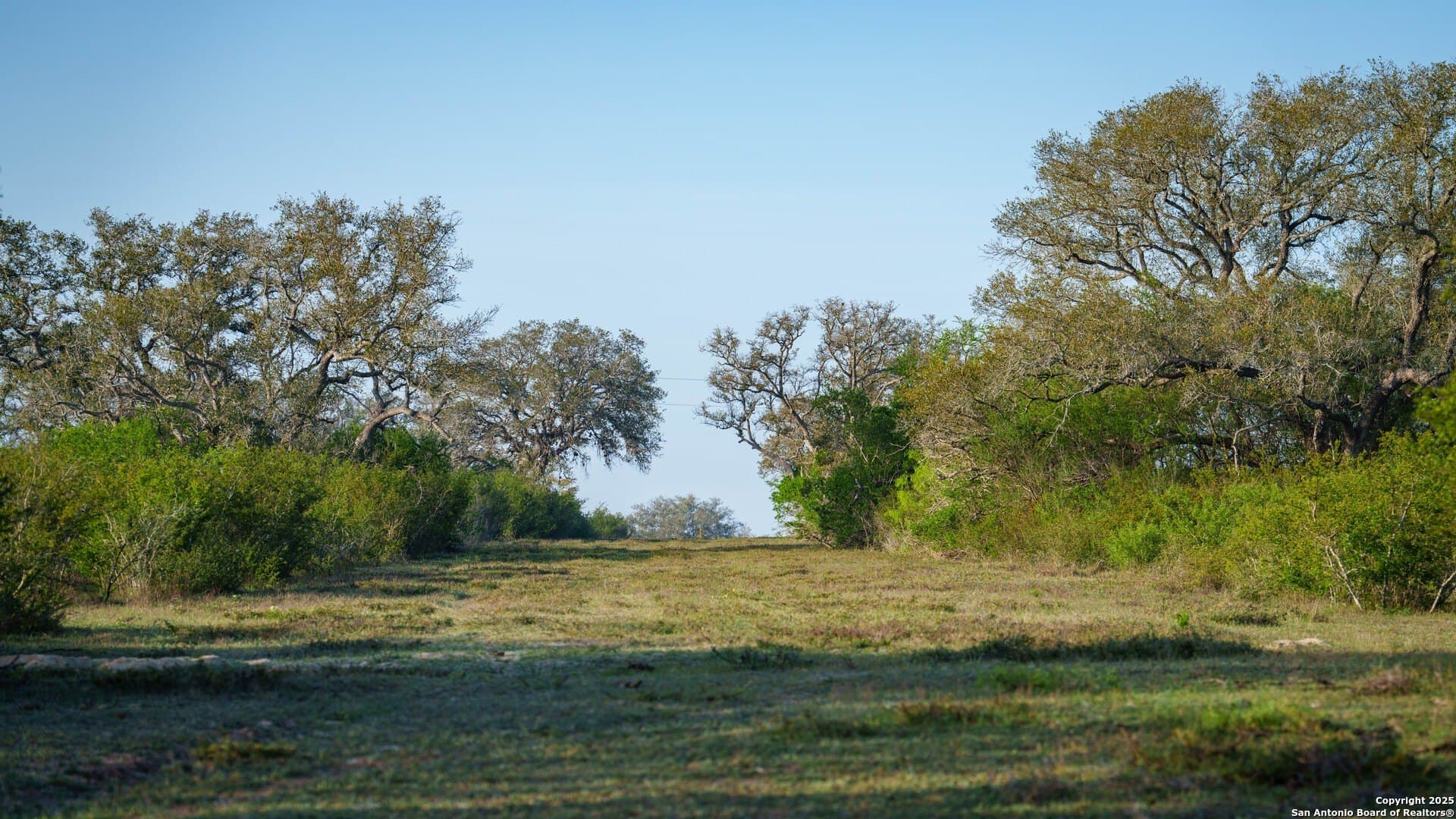 450 acres in Goliad County - photo 48