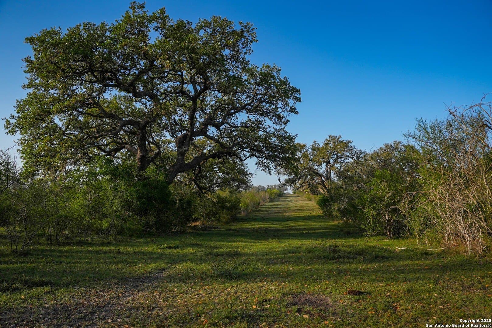 450 acres in Goliad County