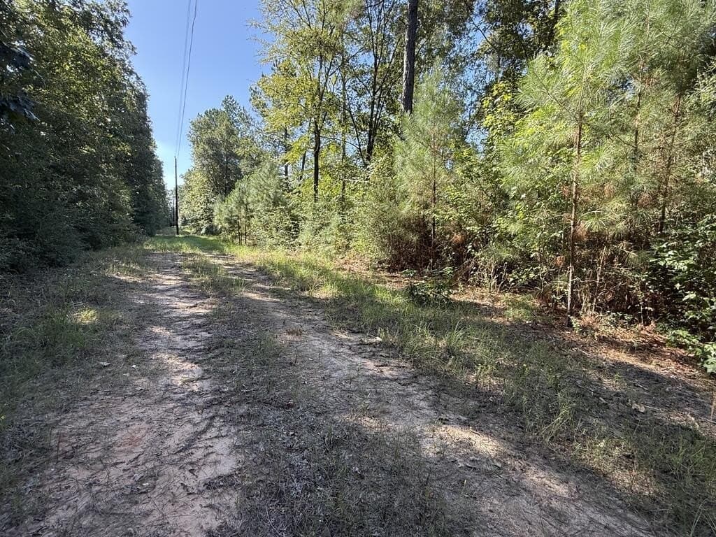 14.34 acres in Texas County - photo 9