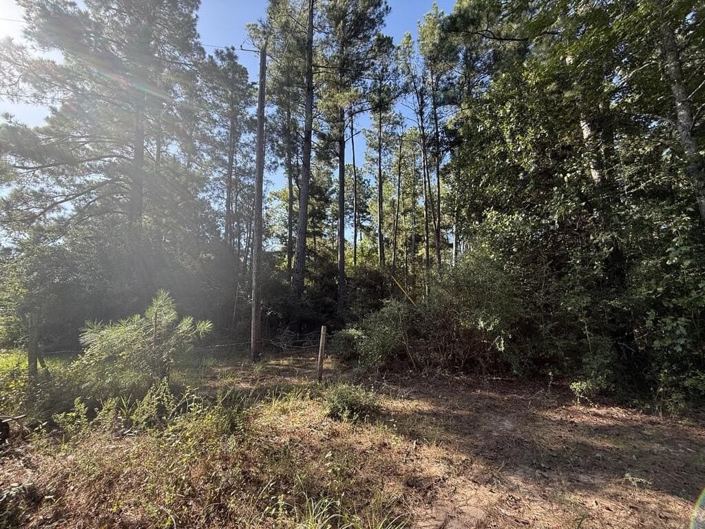 14.34 acres in Texas County - photo 2