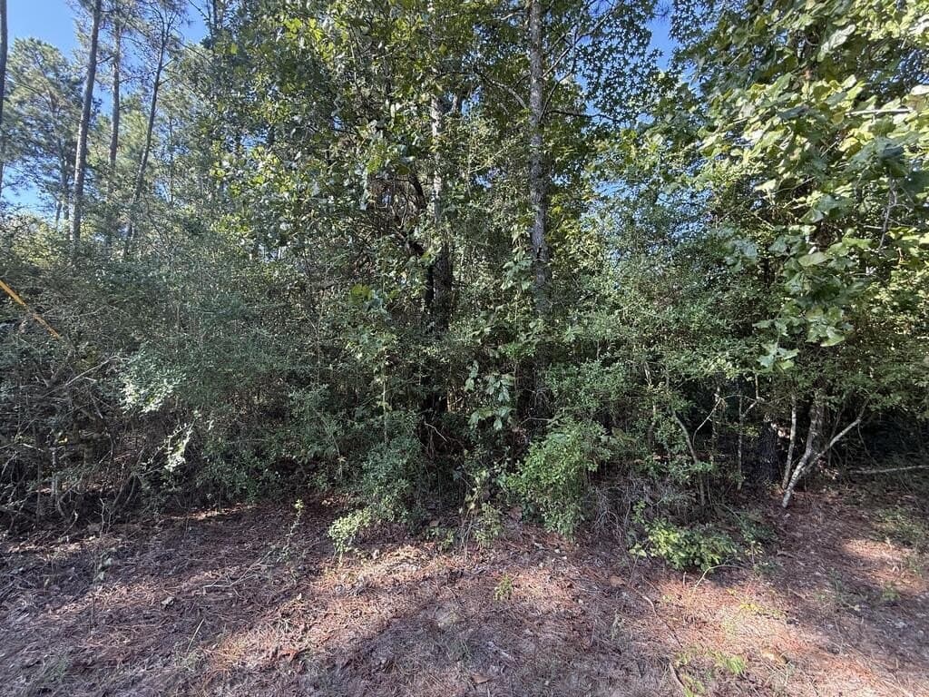 14.34 acres in Texas County - photo 3