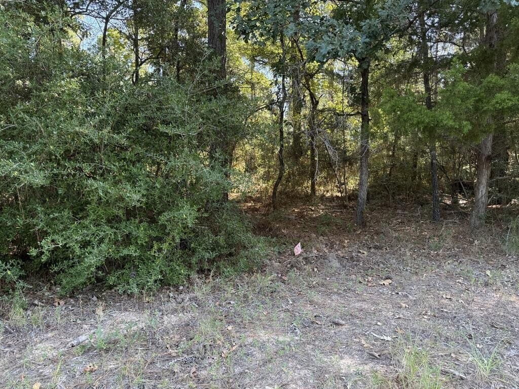 14.34 acres in Texas County - photo 7