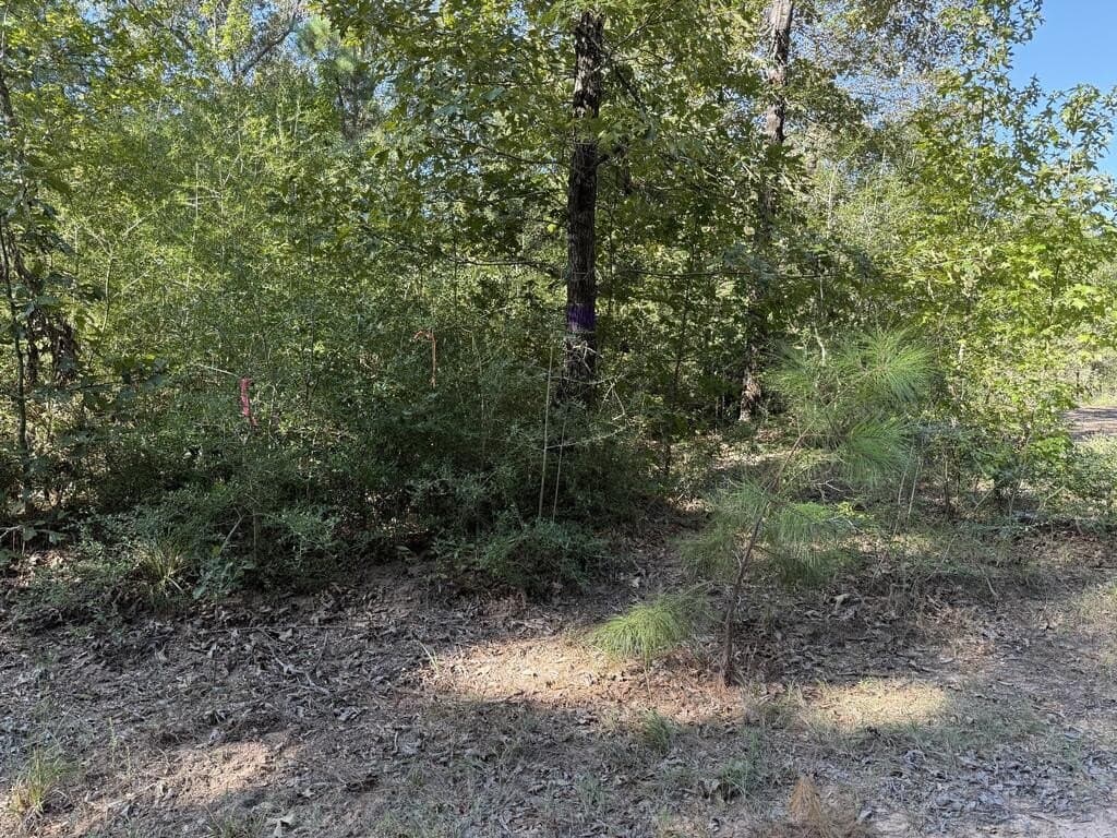 14.34 acres in Texas County - photo 6
