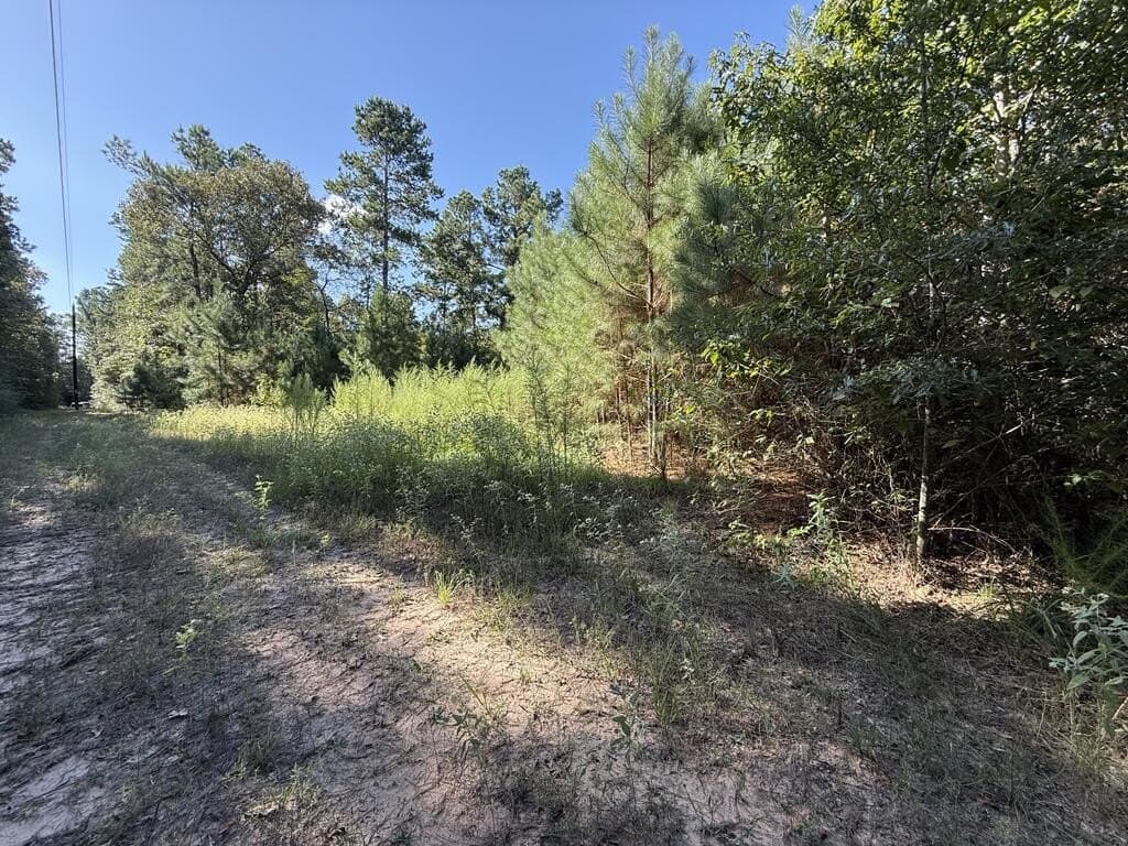 14.34 acres in Texas County - photo 12