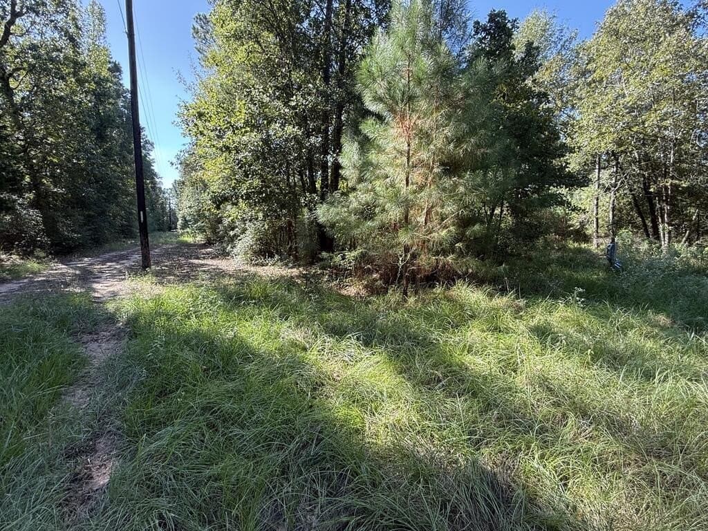 14.34 acres in Texas County - photo 5
