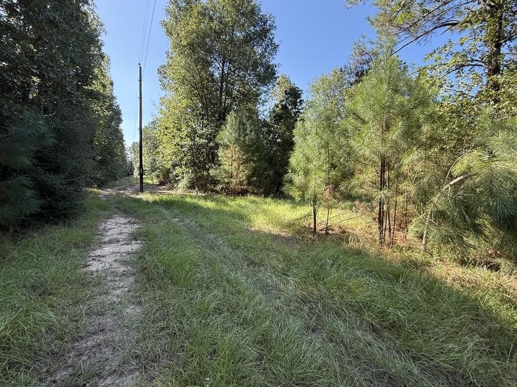 14.34 acres in Texas County