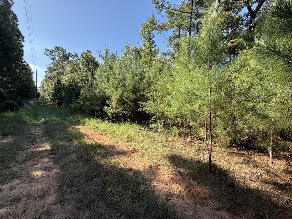 14.34 acres in Texas County - photo 8