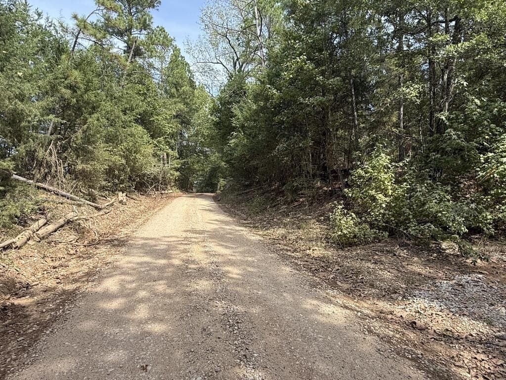 14.34 acres in Texas County - photo 14