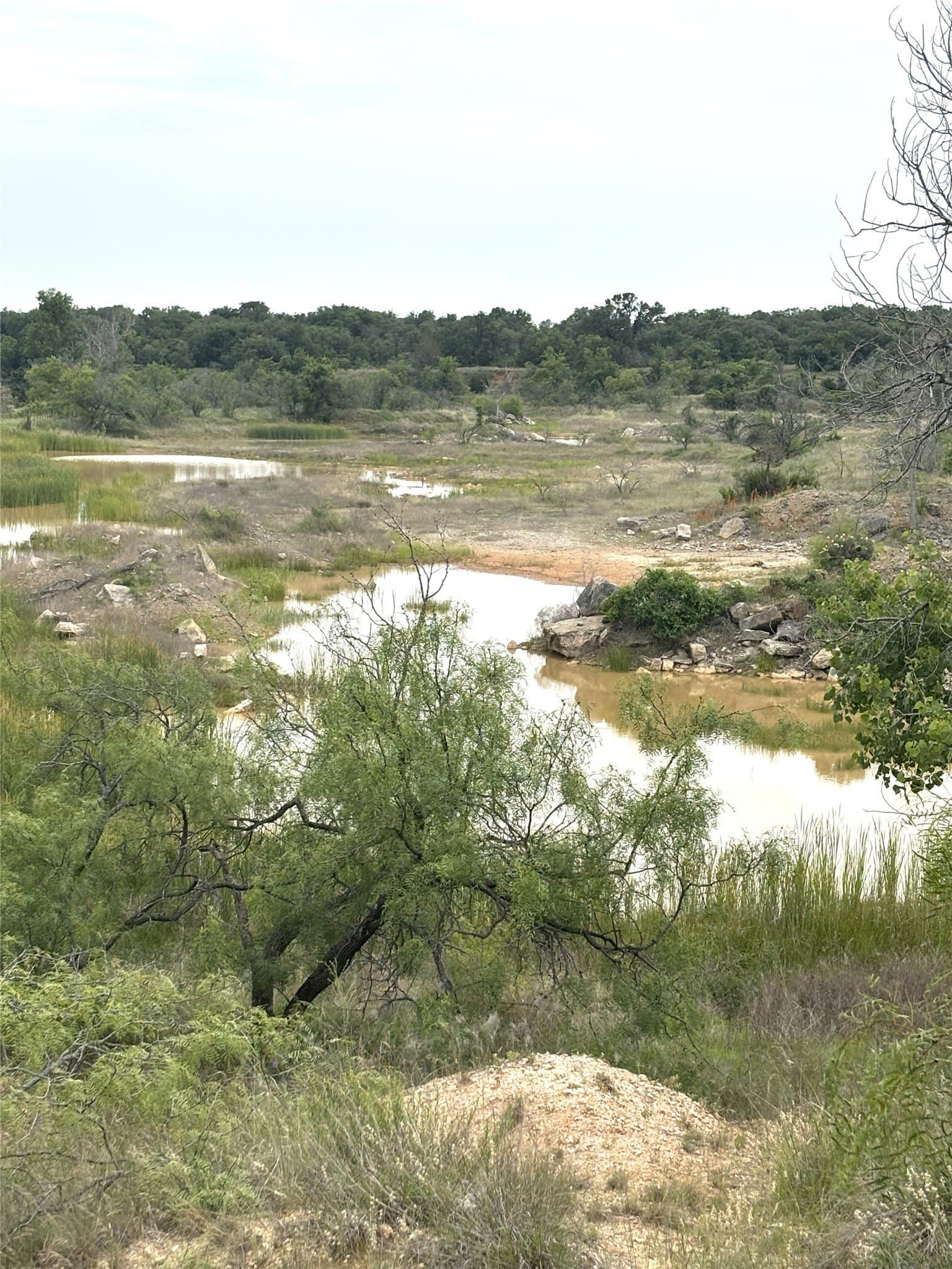 93 acres in Parker County - photo 9