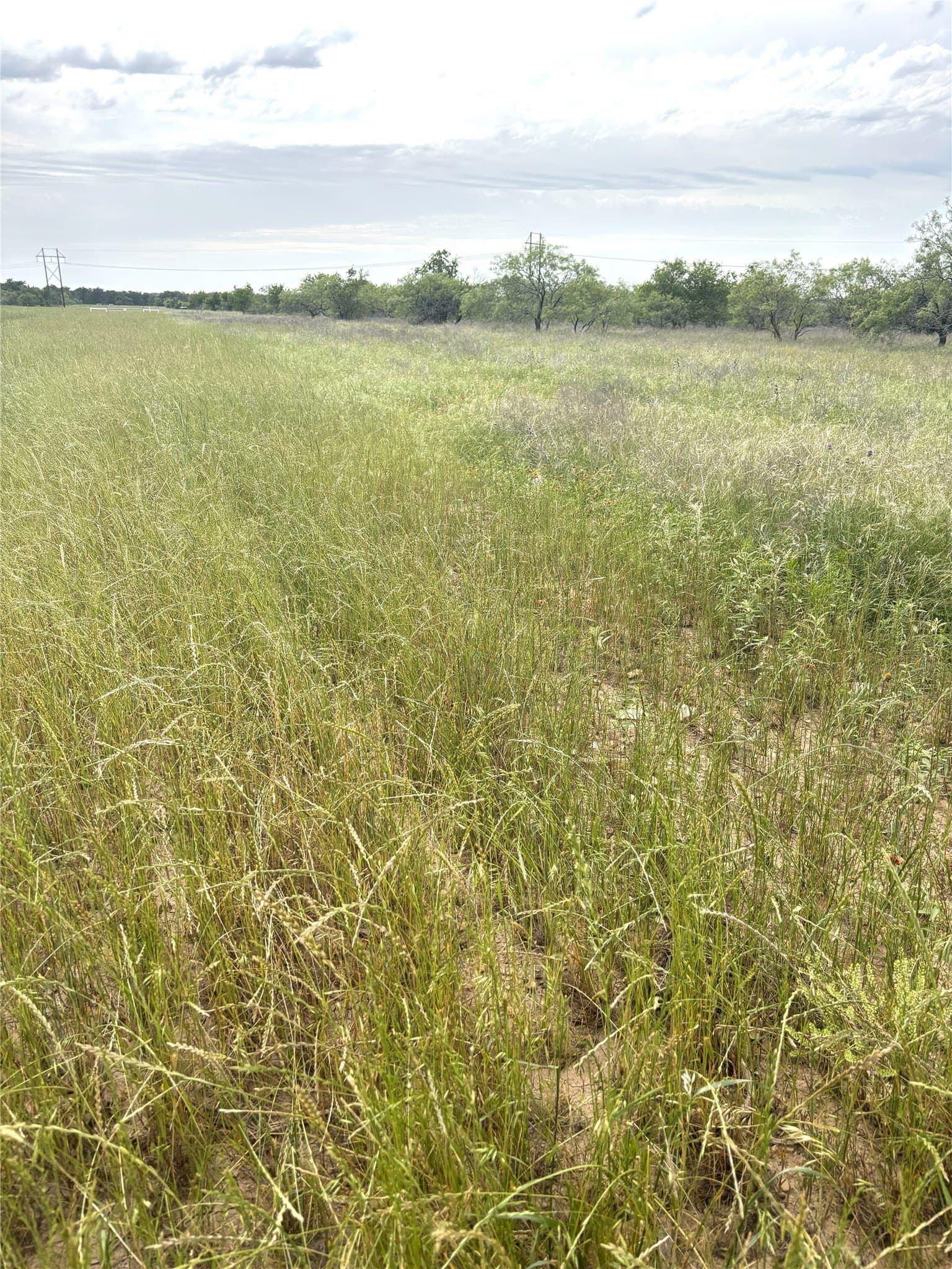 93 acres in Parker County - photo 8