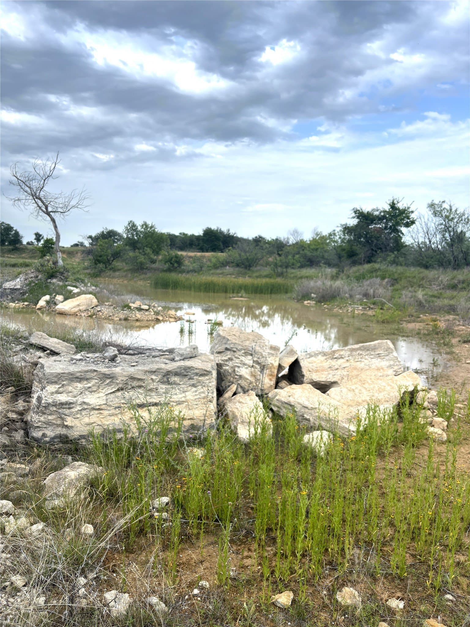 93 acres in Parker County - photo 14