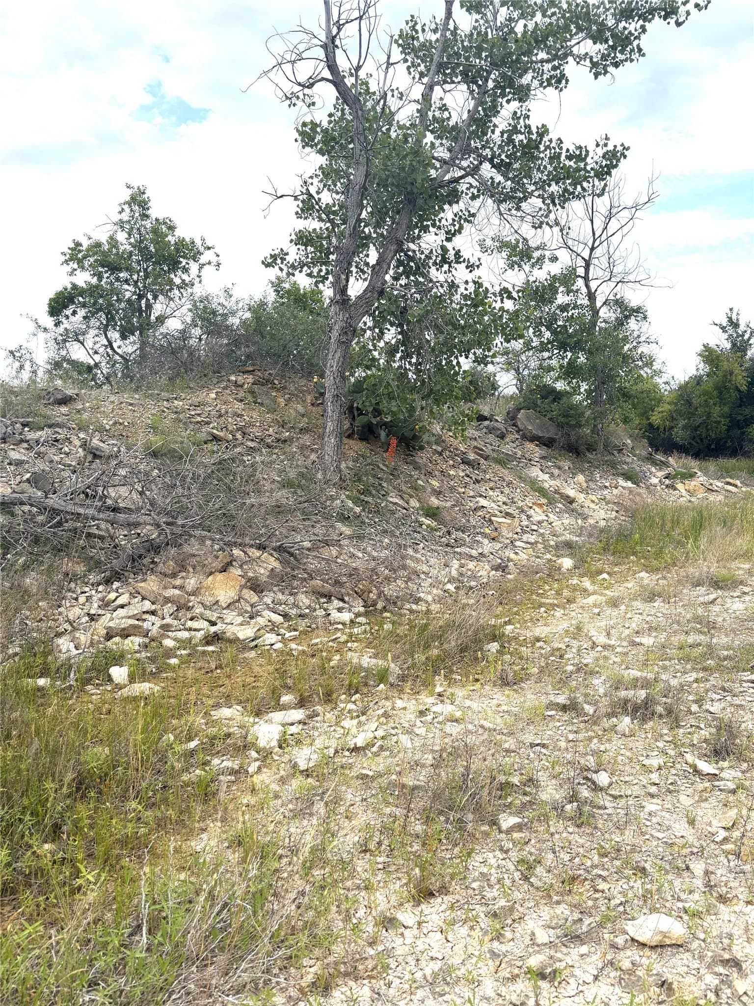 93 acres in Parker County - photo 11