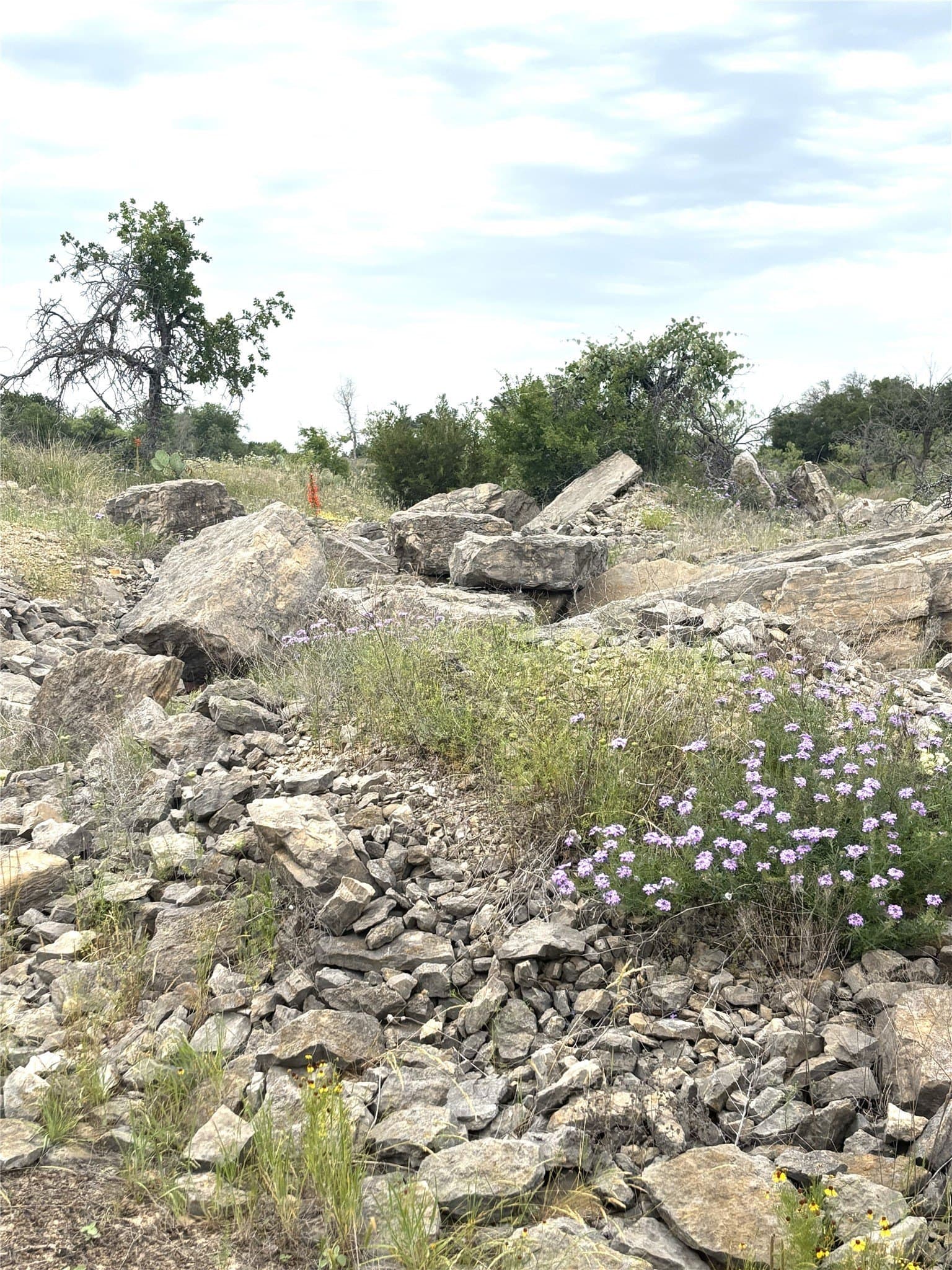 93 acres in Parker County - photo 10
