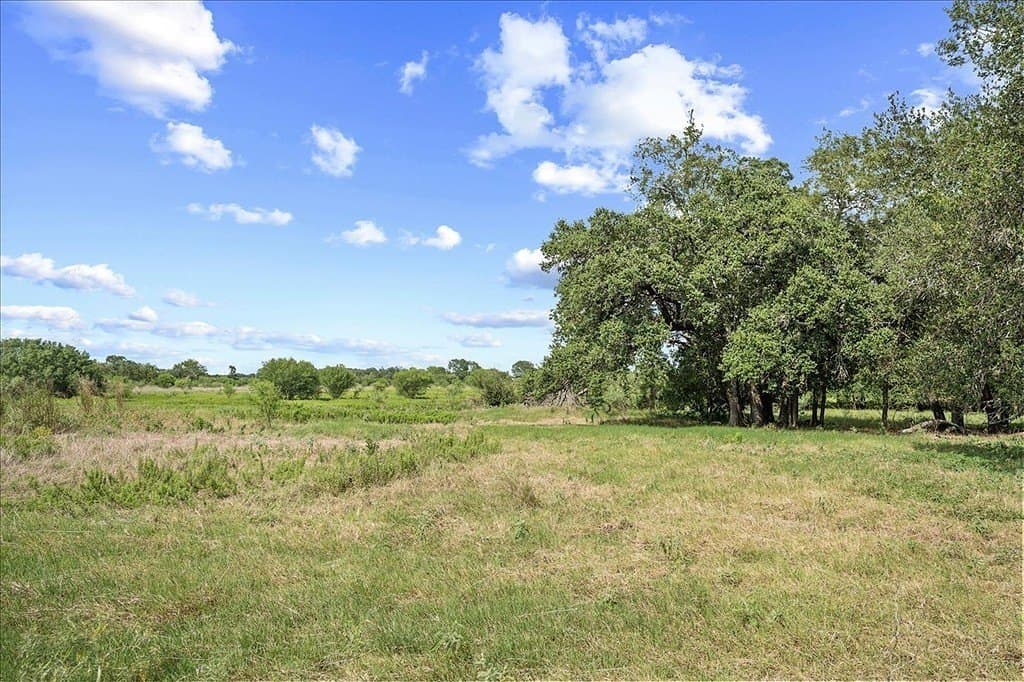 40 acres in Fayette County - photo 27
