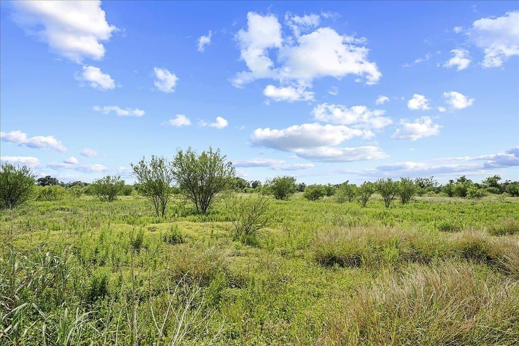 40 acres in Fayette County - photo 30