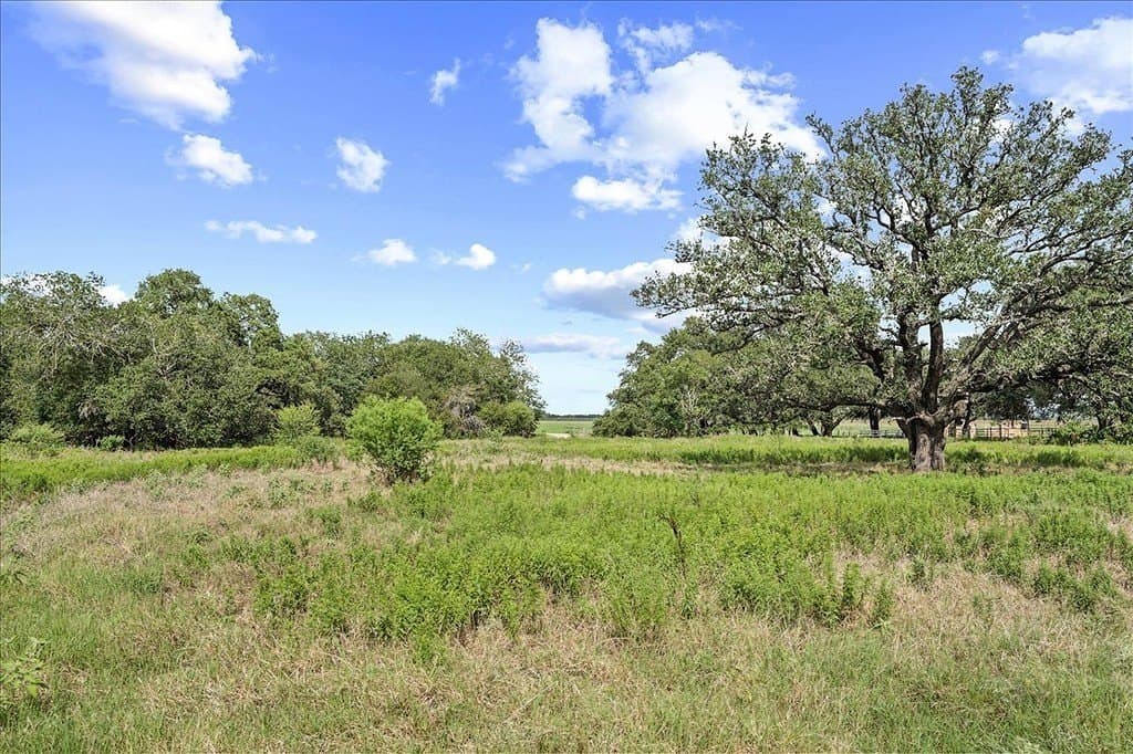 40 acres in Fayette County - photo 28