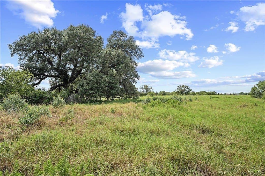 40 acres in Fayette County gallery image 4