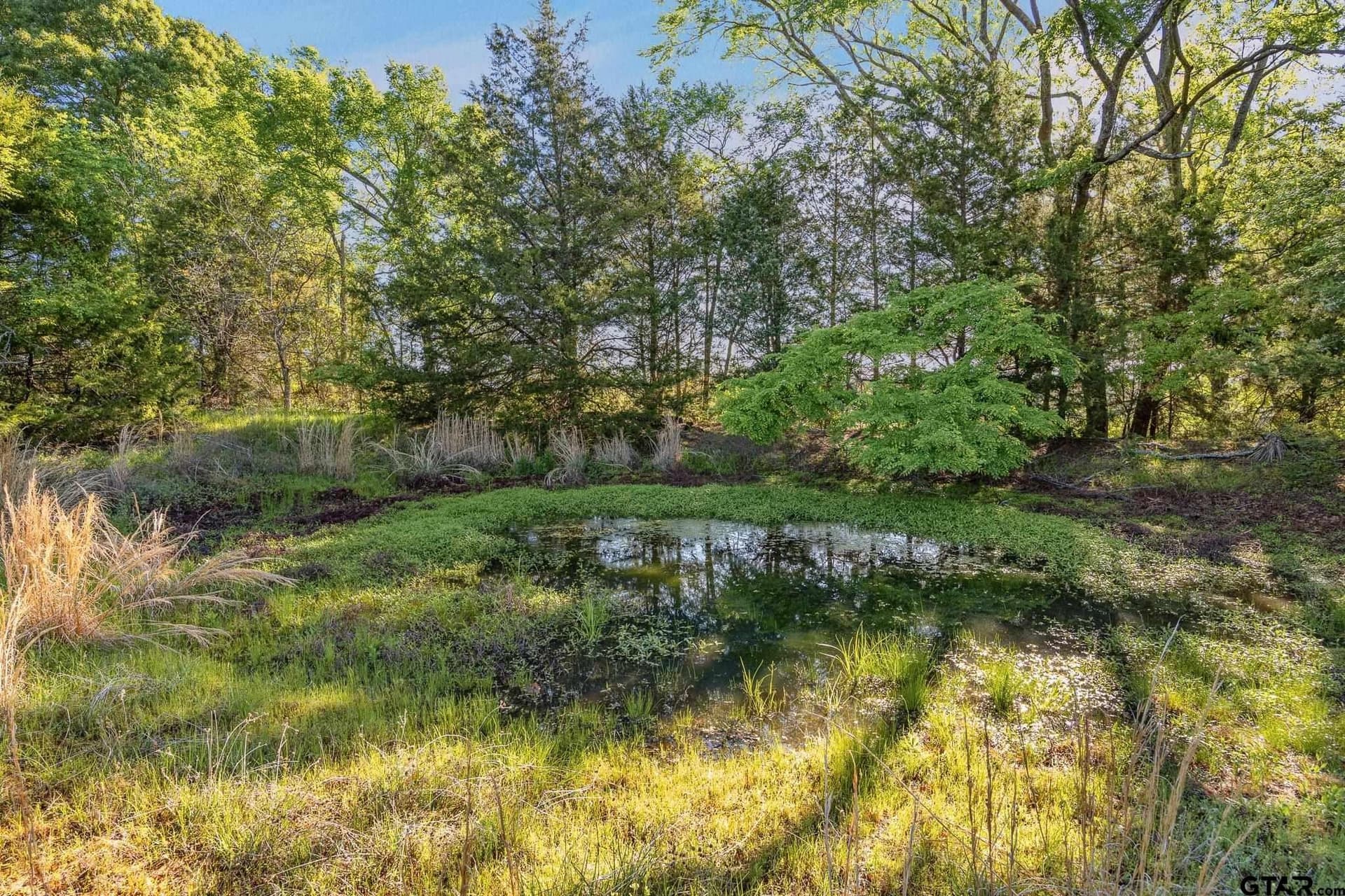 24 acres in Smith County - photo 44