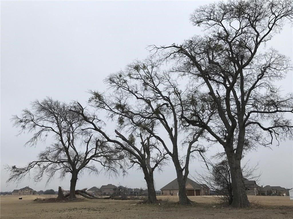 0.35 acres in Grayson County - photo 4