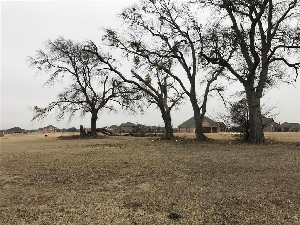 0.35 acres in Grayson County - photo 3