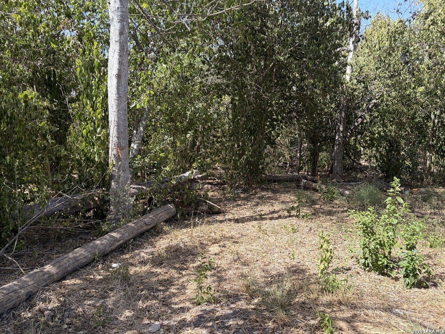7,500 acres in Bexar County - photo 2