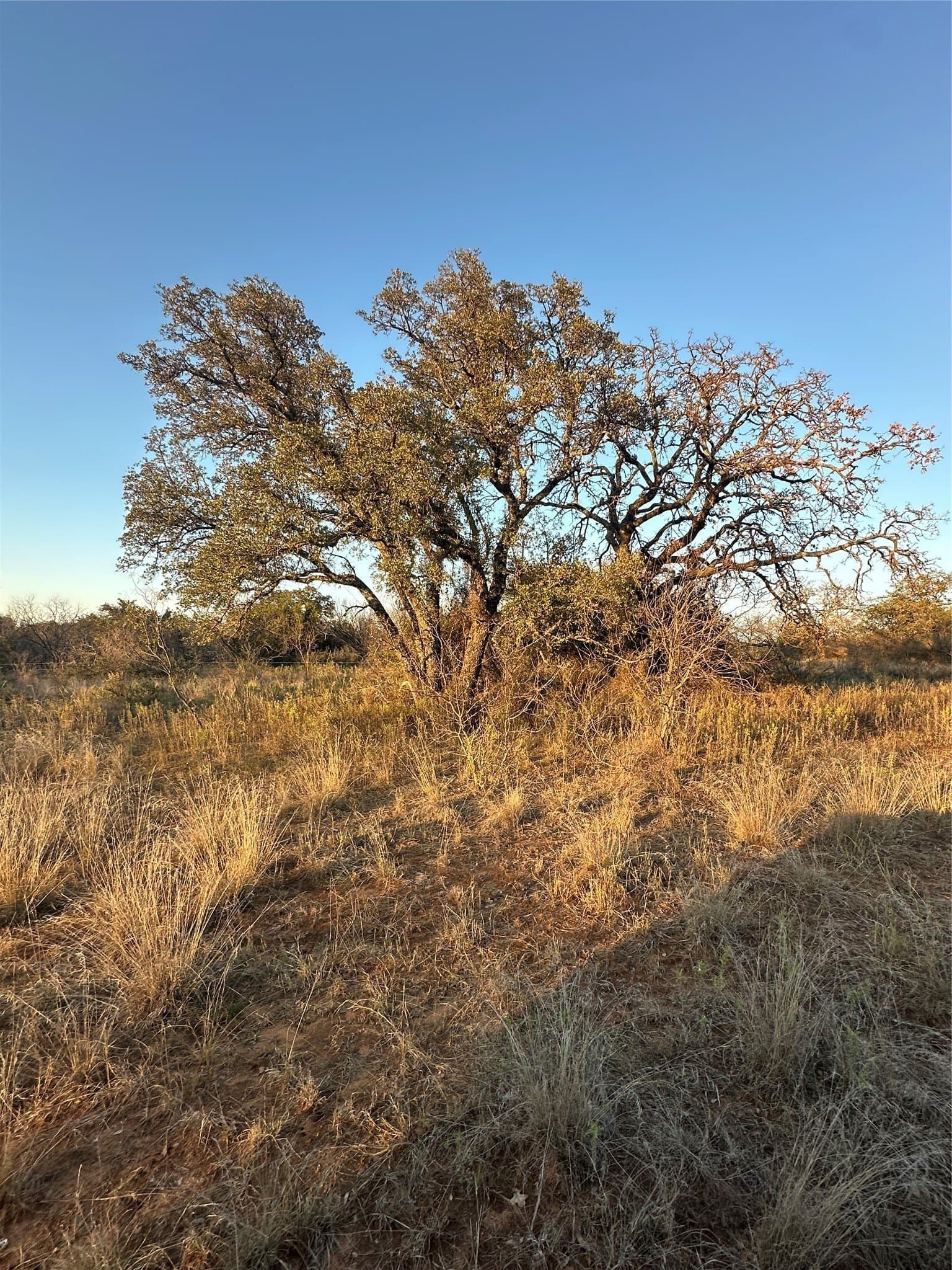 80.67 acres in Brown County - photo 31