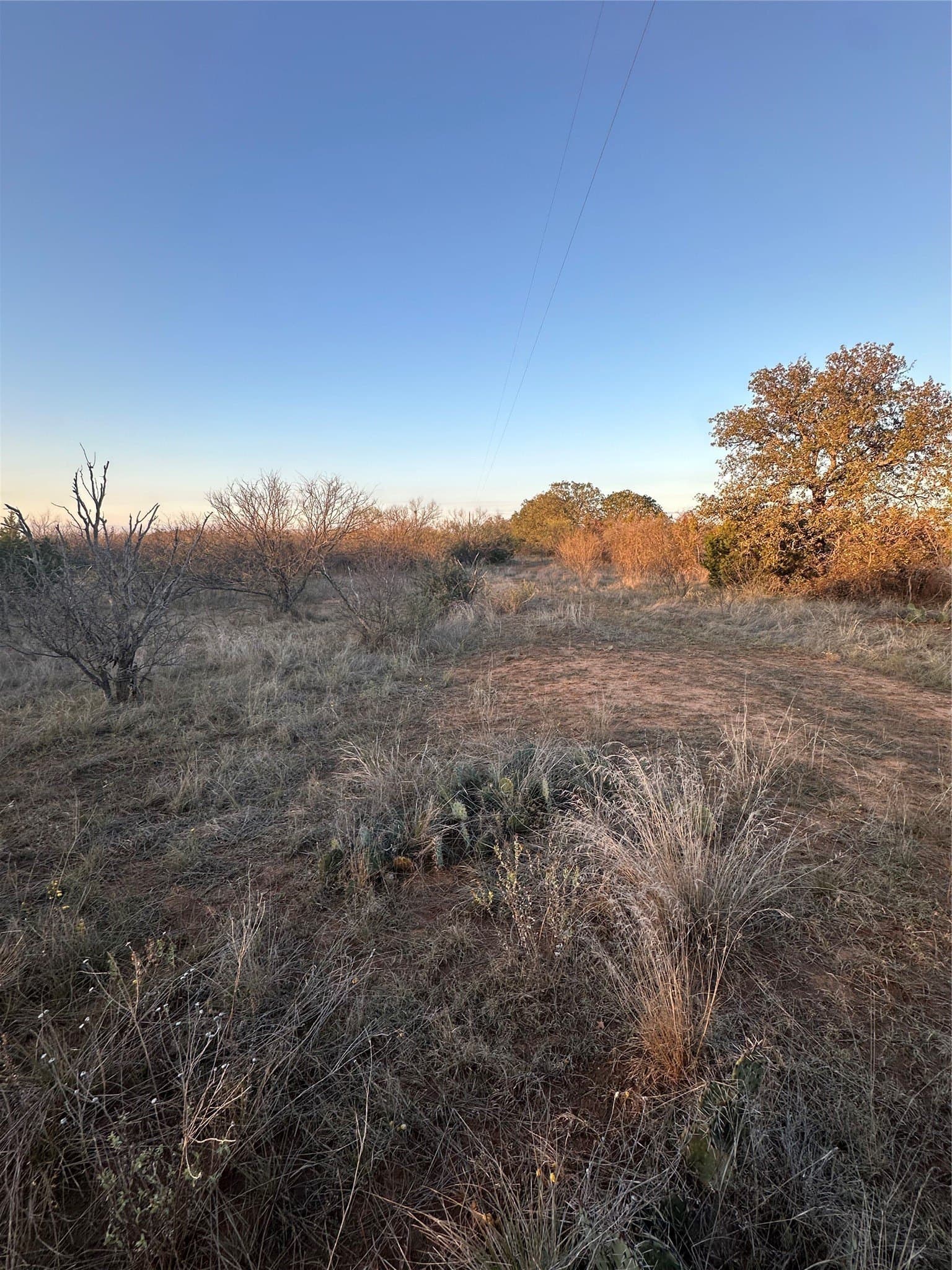 80.67 acres in Brown County - photo 13