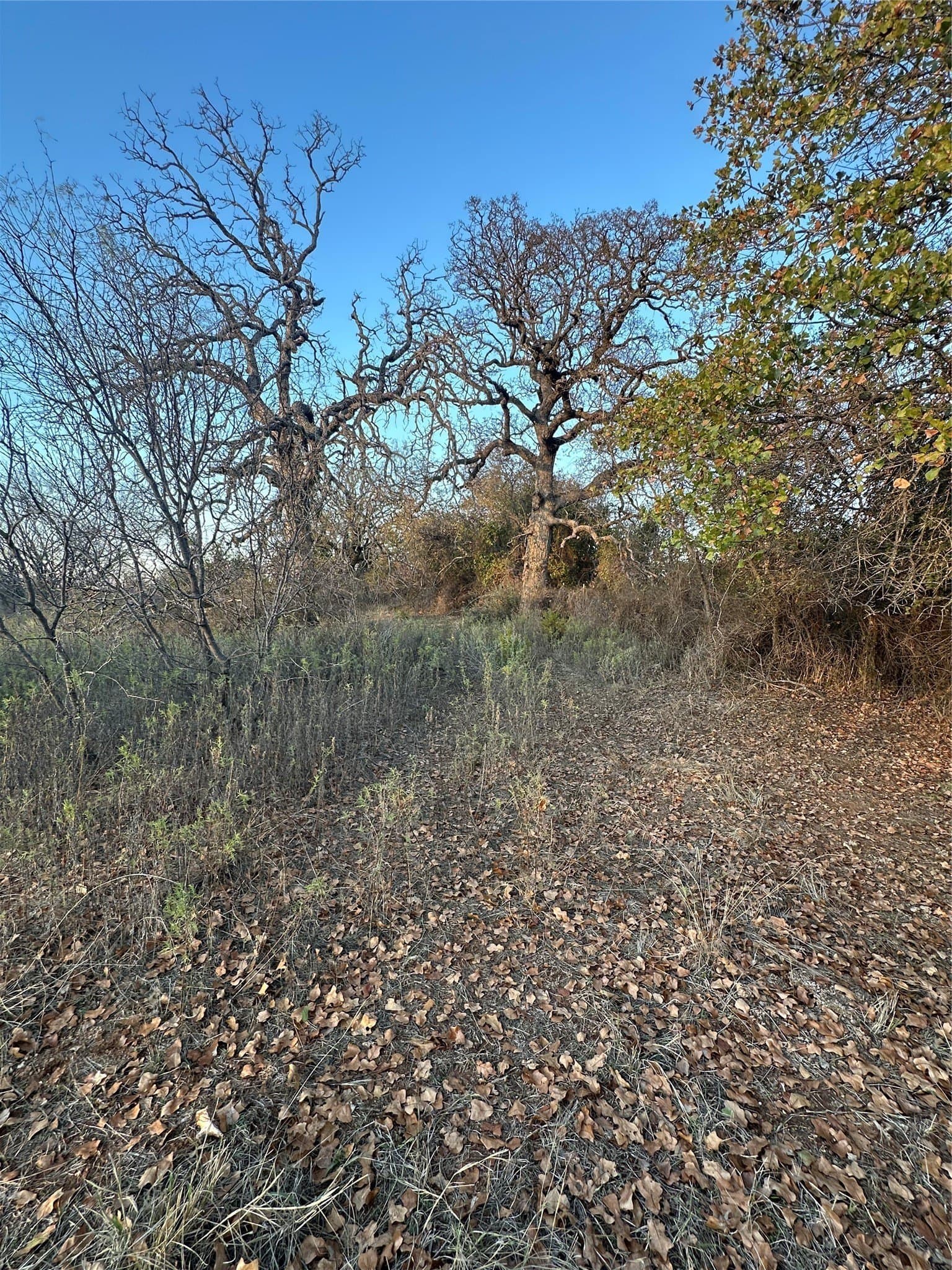 80.67 acres in Brown County - photo 20