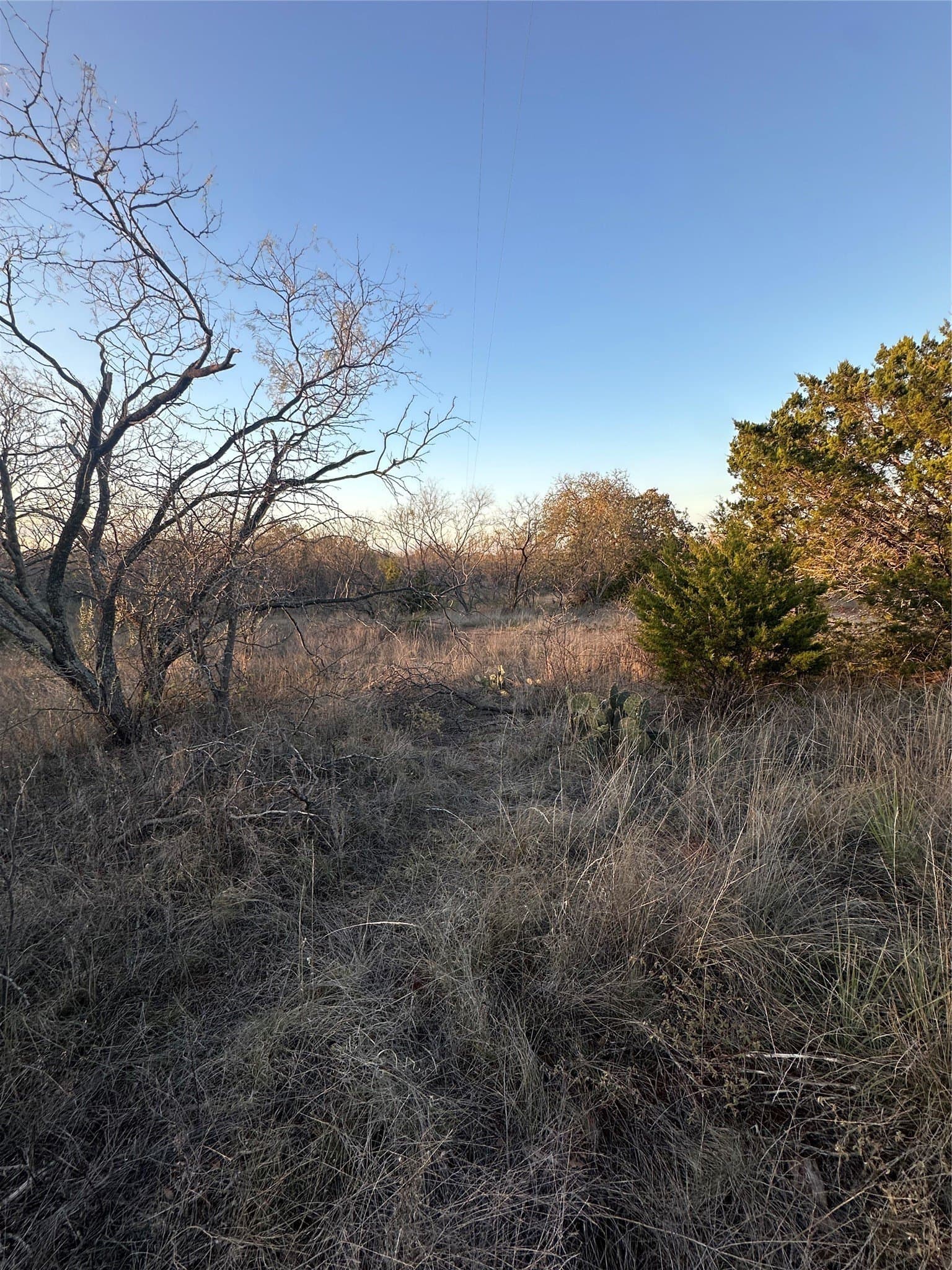80.67 acres in Brown County - photo 19