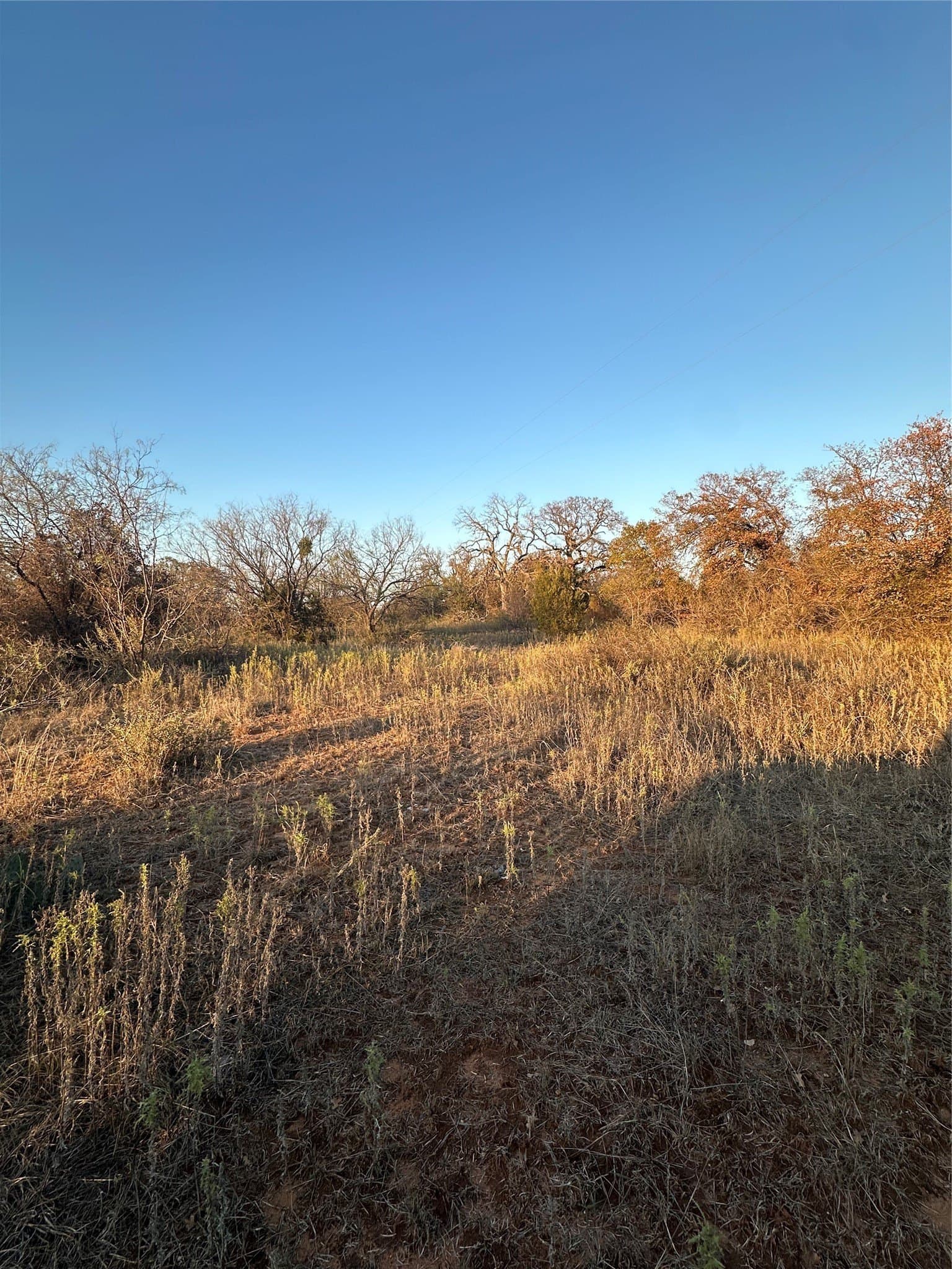 80.67 acres in Brown County - photo 29