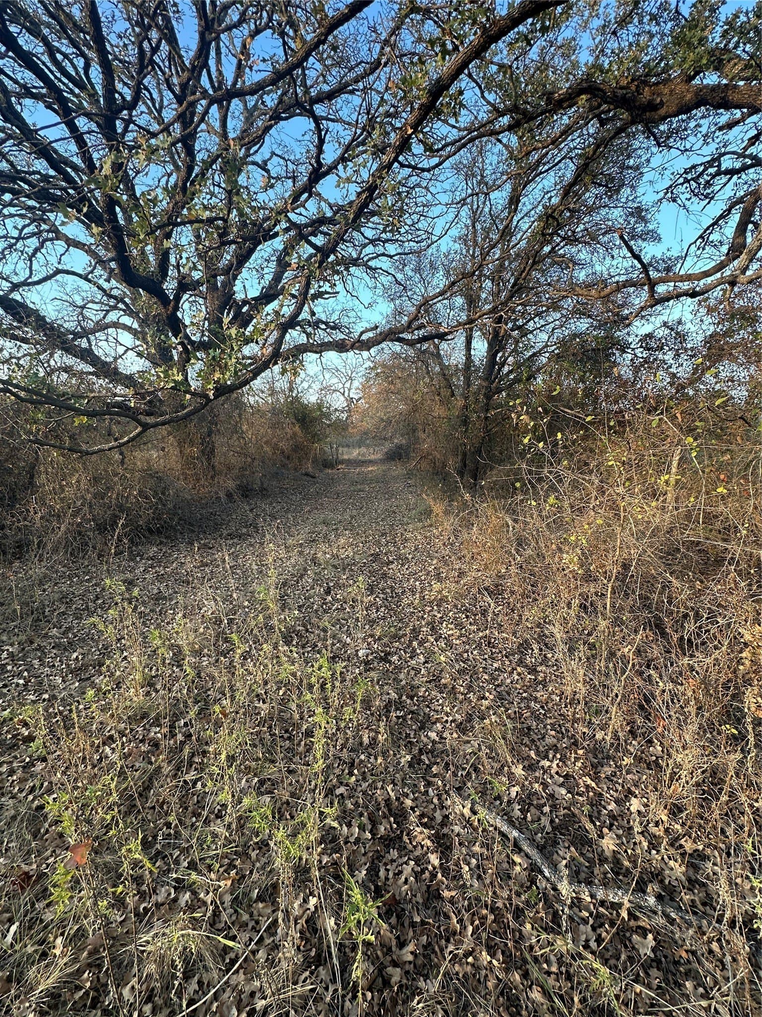 80.67 acres in Brown County - photo 27