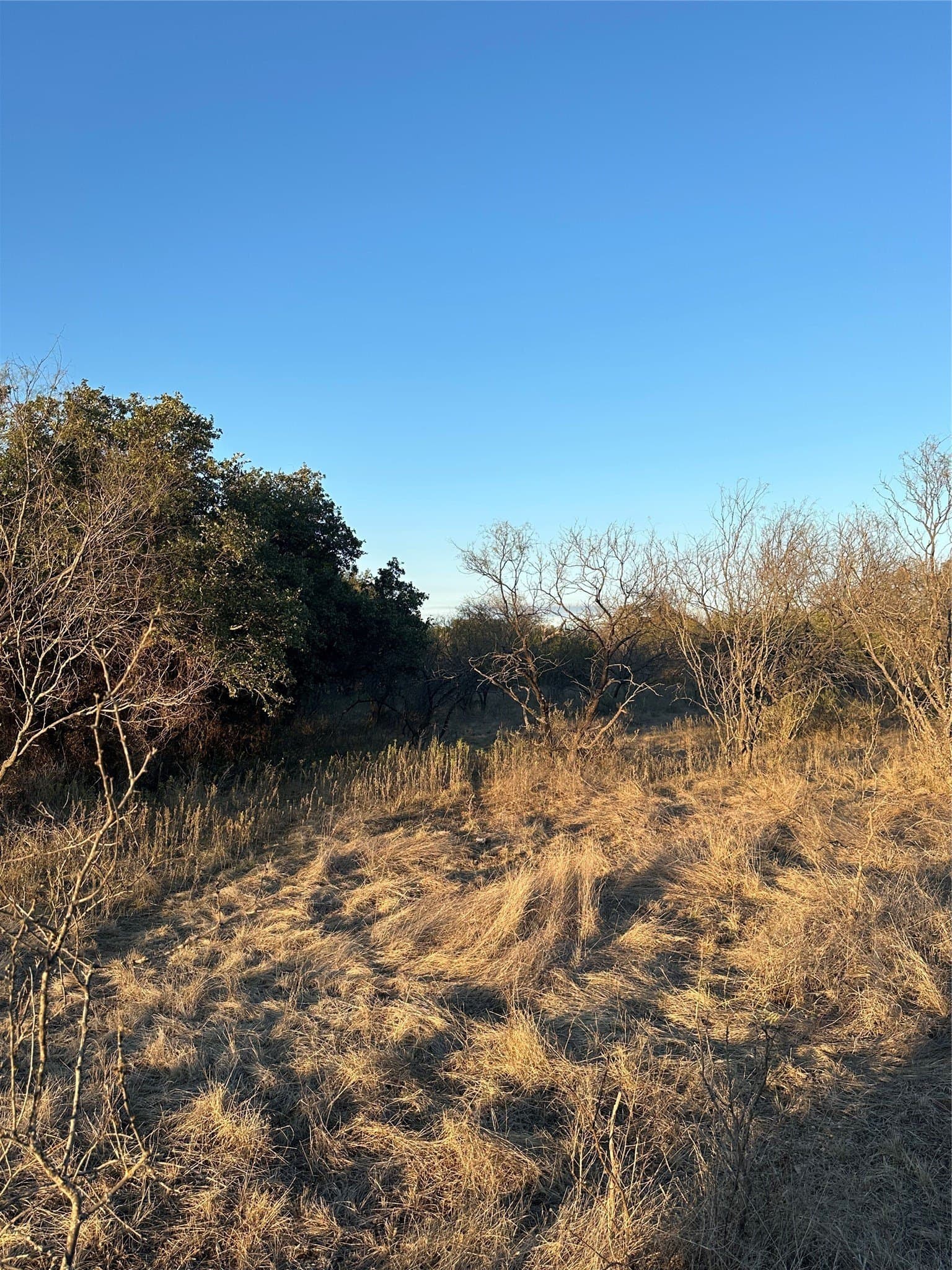 80.67 acres in Brown County - photo 35