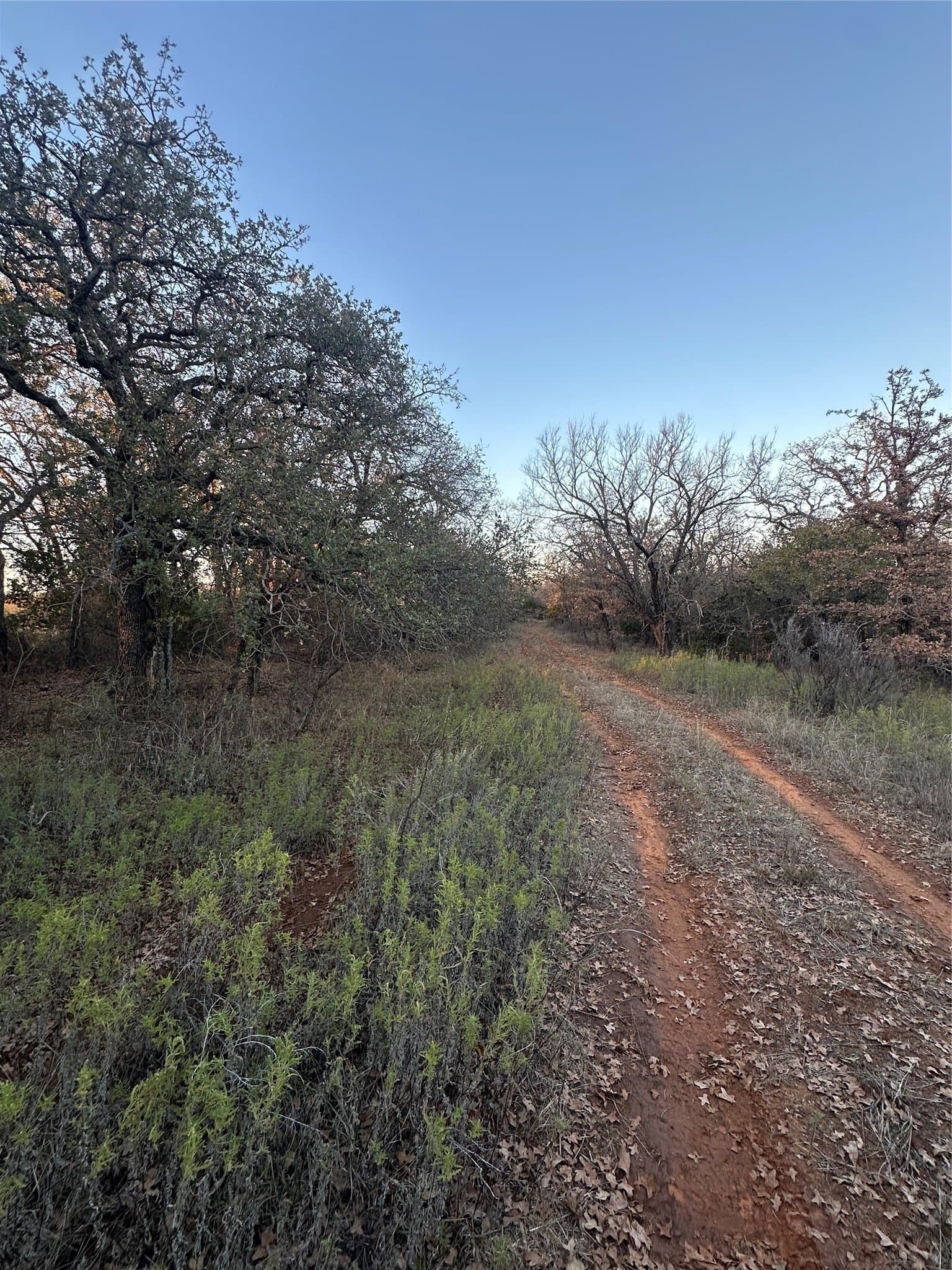 80.67 acres in Brown County - photo 8