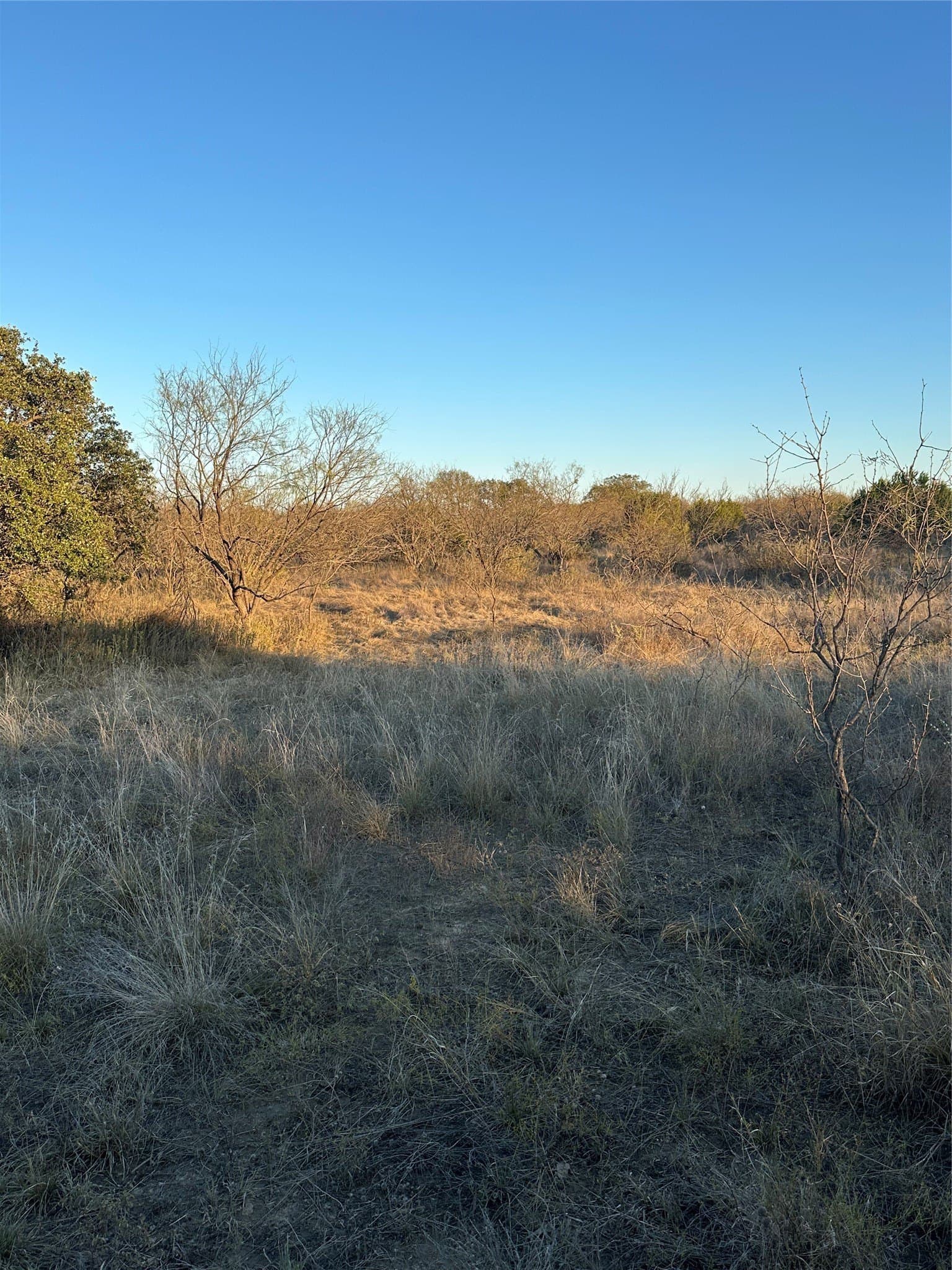 80.67 acres in Brown County - photo 37