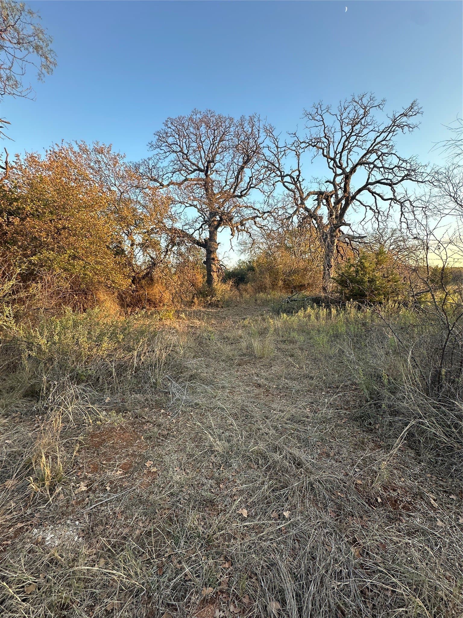 80.67 acres in Brown County - photo 23