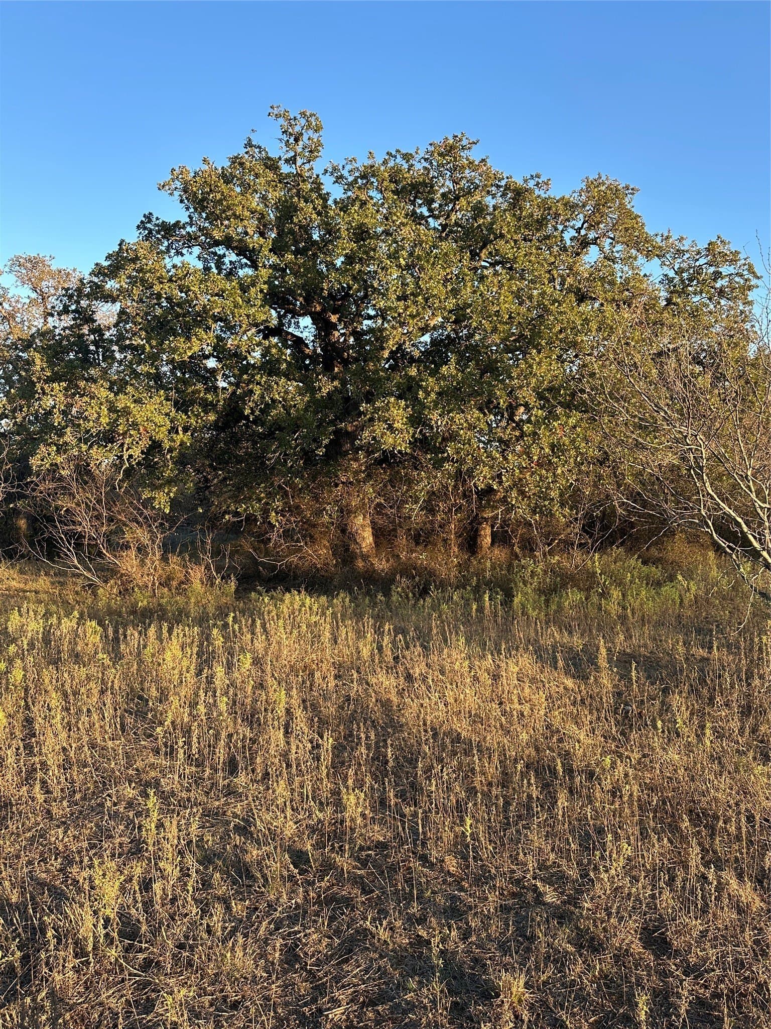 80.67 acres in Brown County - photo 38
