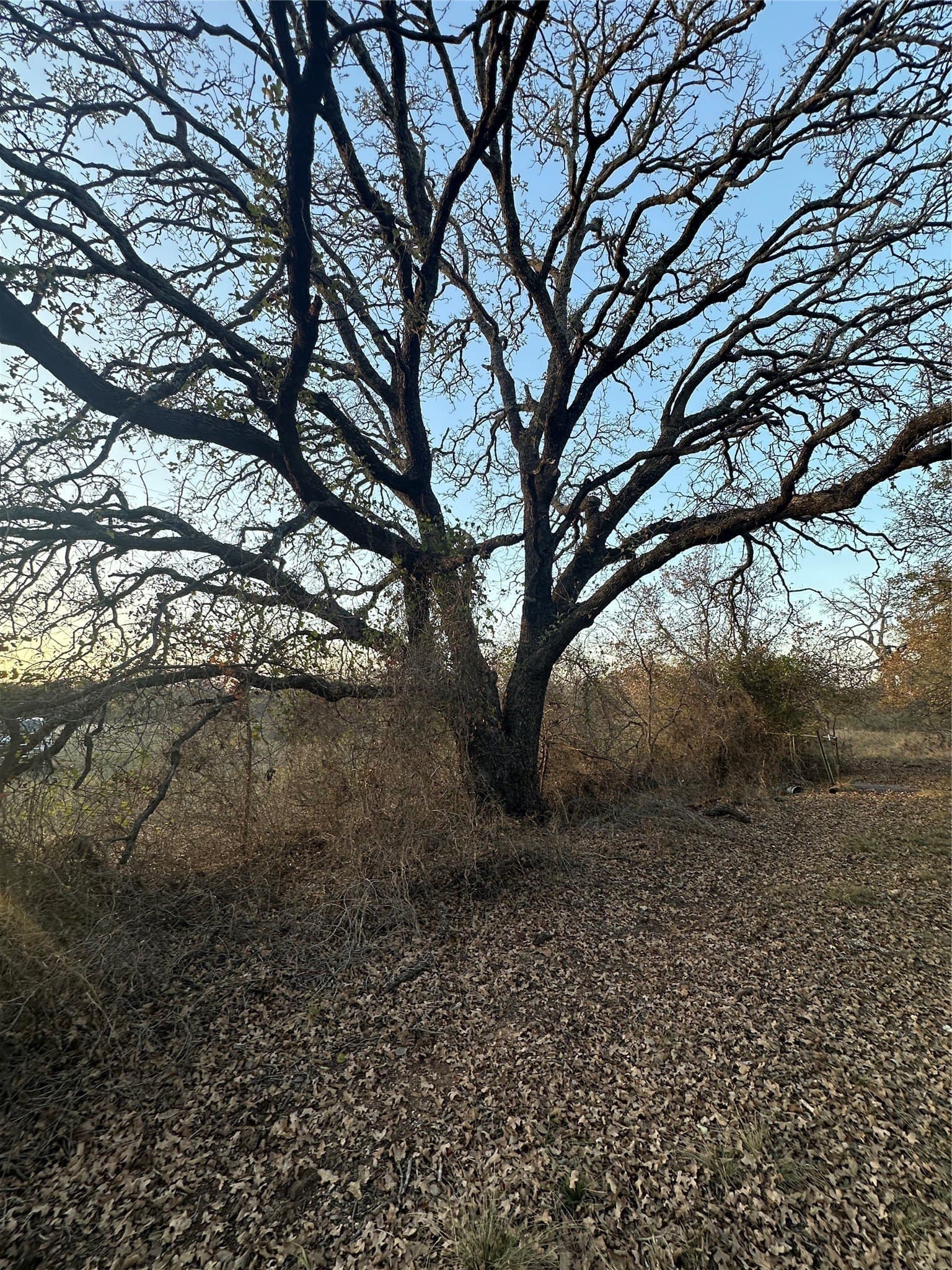 80.67 acres in Brown County - photo 26