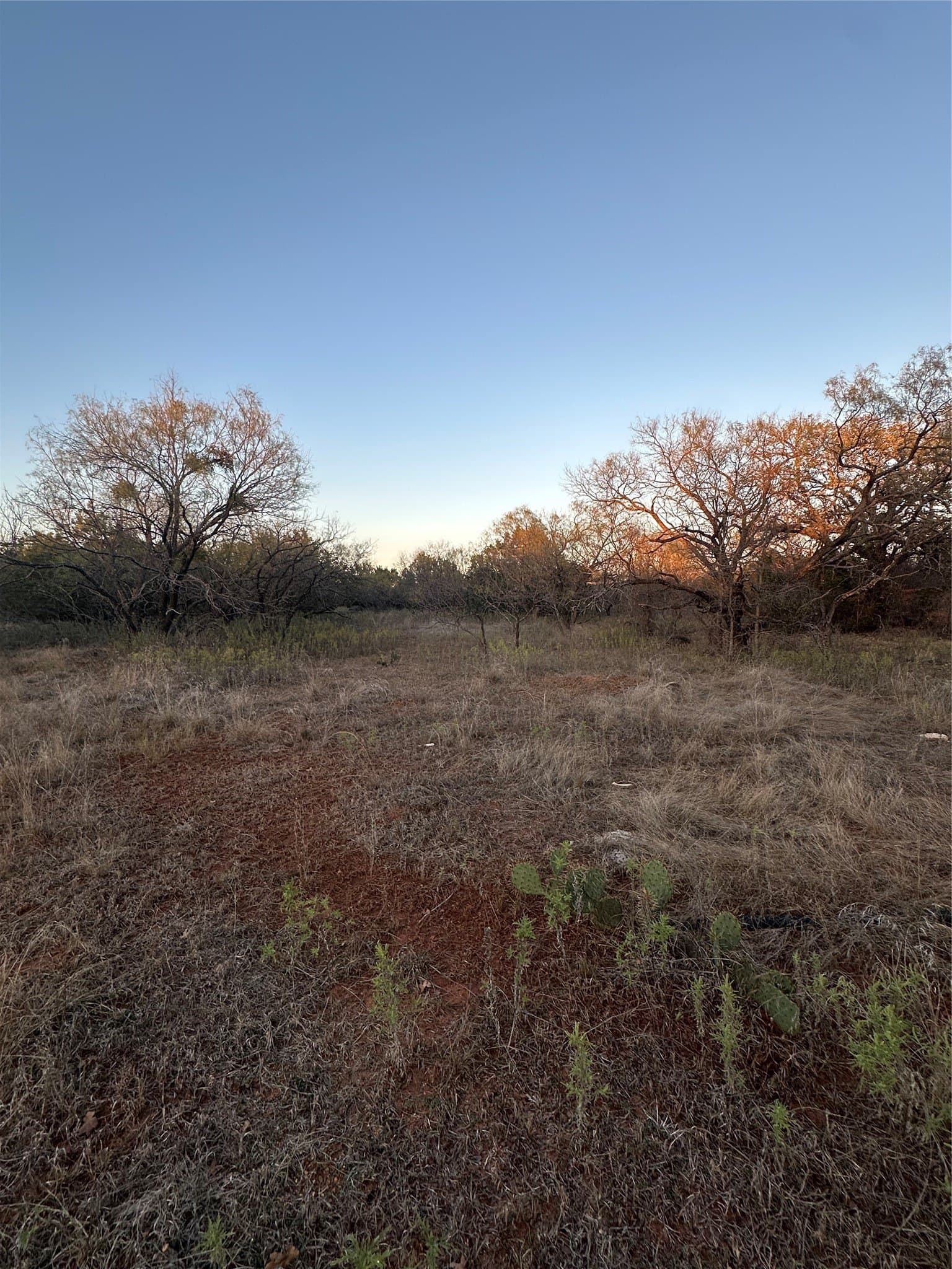 80.67 acres in Brown County gallery image 3