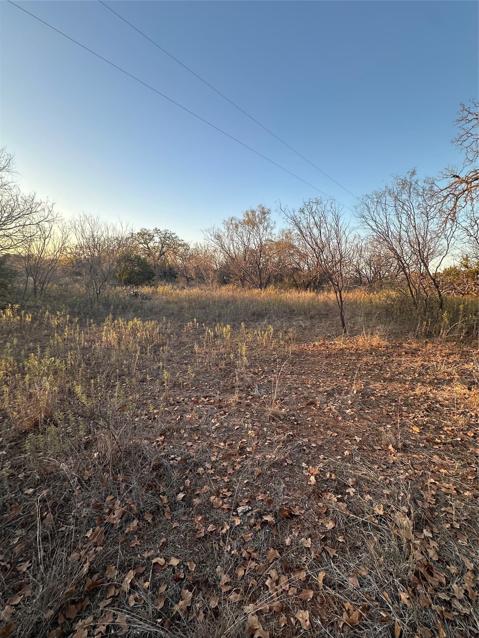 80.67 acres in Brown County - photo 16