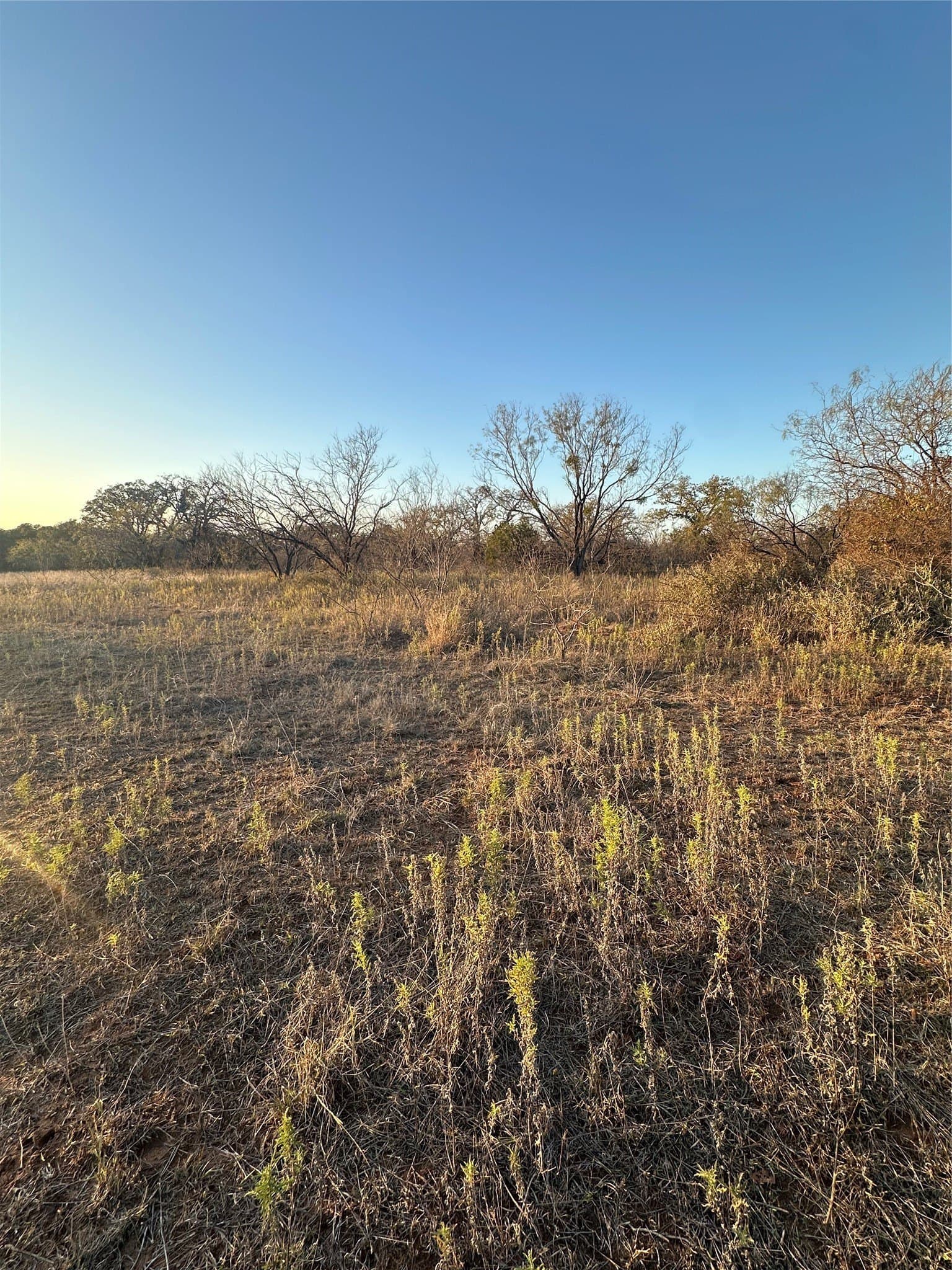 80.67 acres in Brown County - photo 30