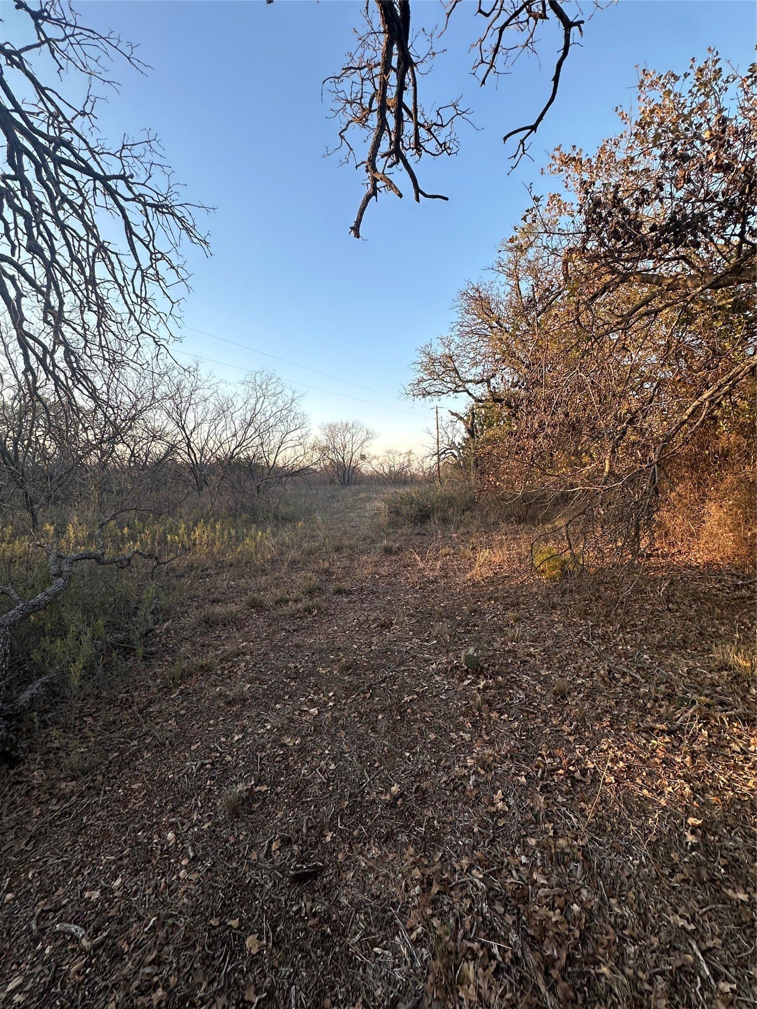 80.67 acres in Brown County - photo 24
