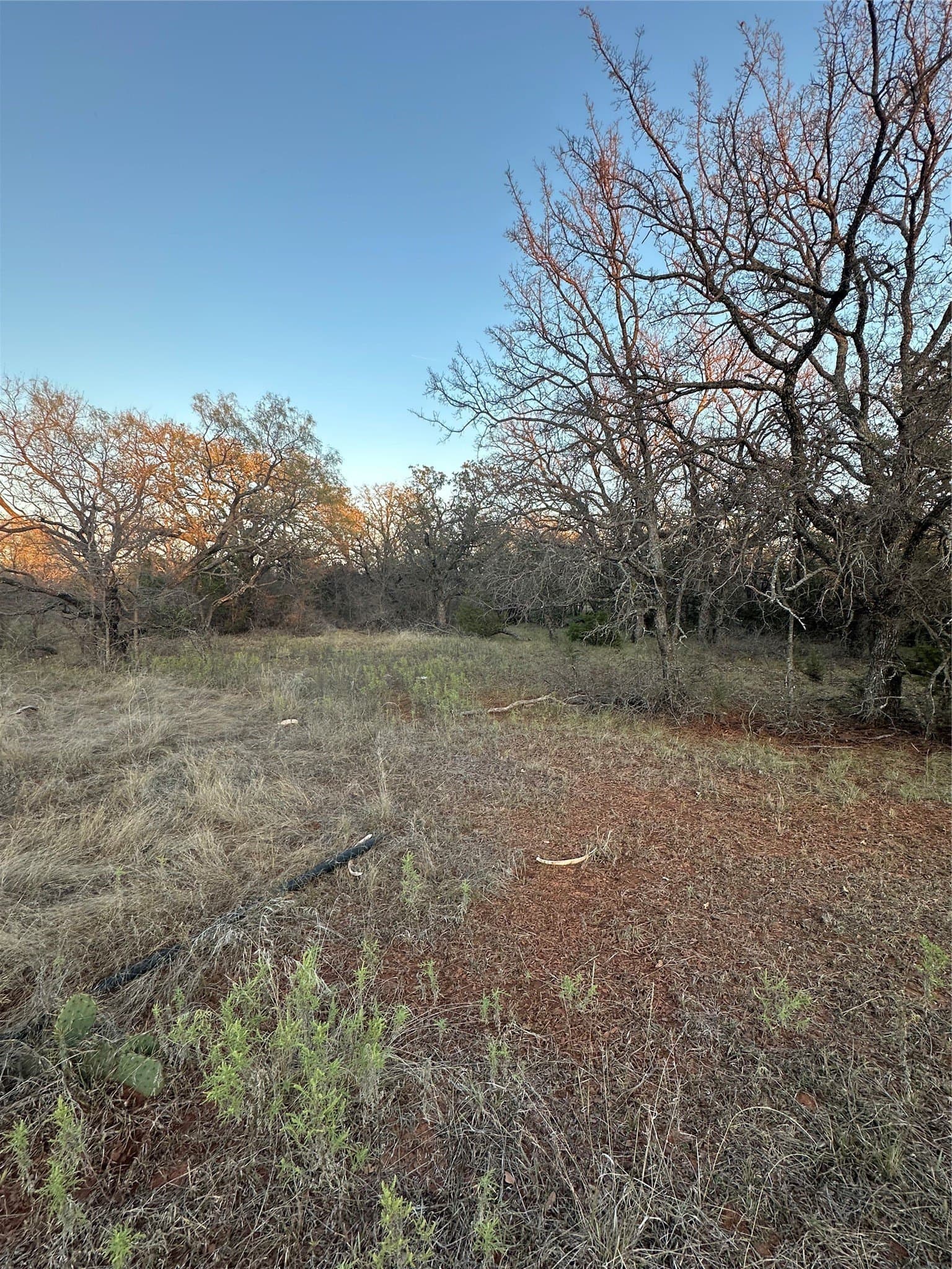 80.67 acres in Brown County gallery image 4