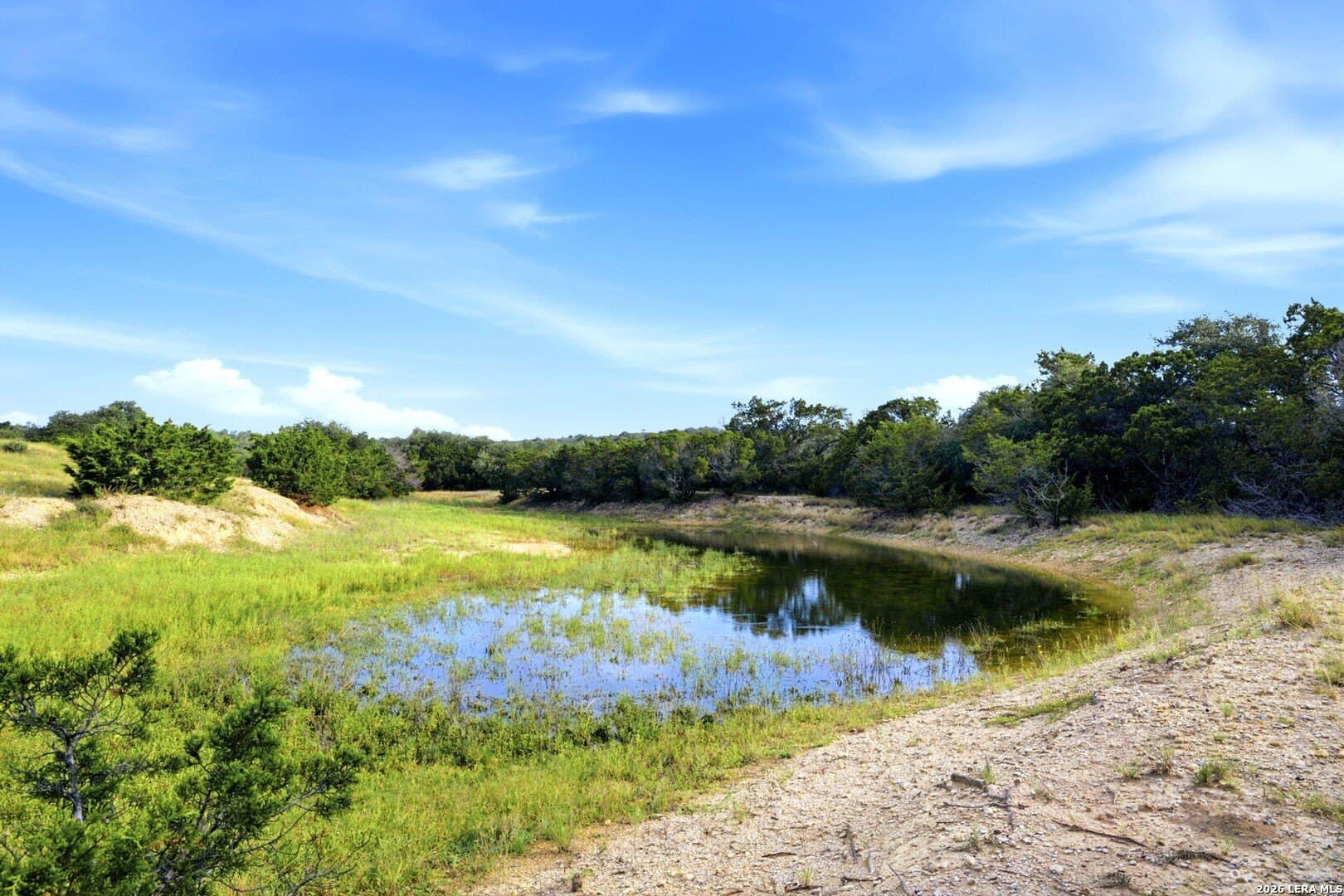 51.64 acres in Blanco County - photo 40