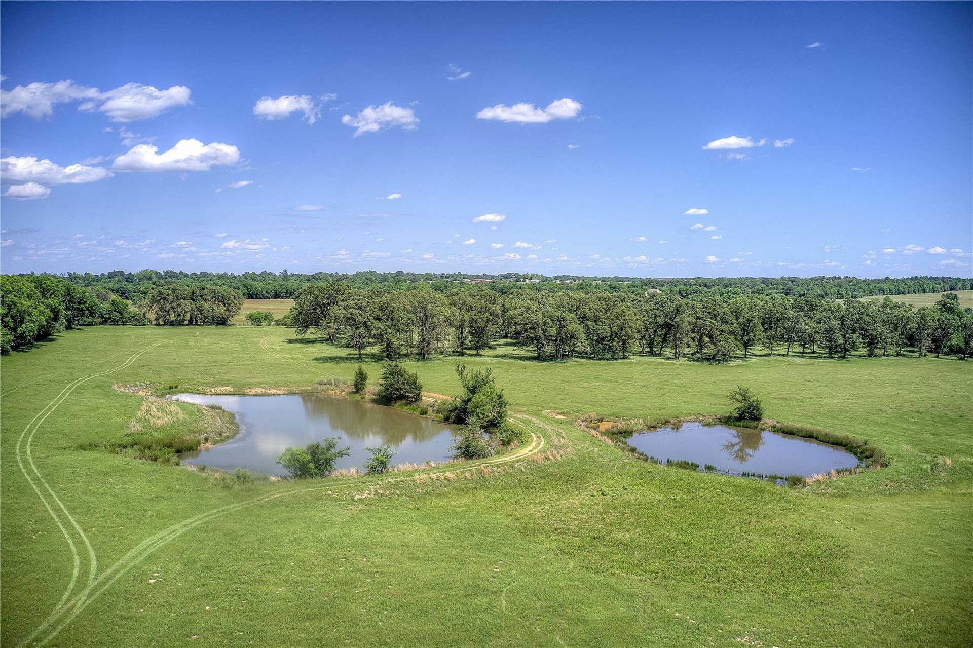 82.1 acres in Hopkins County gallery image 2