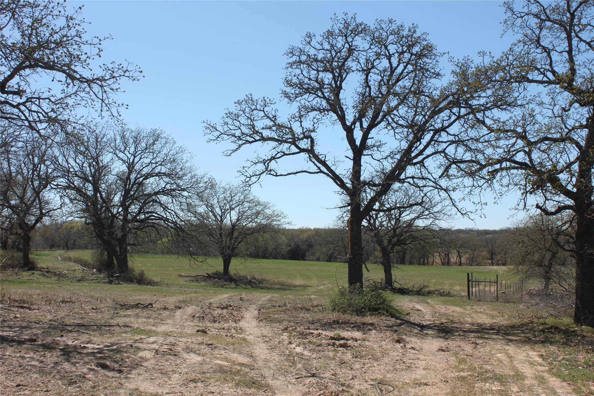 32.42 acres in Wise County - photo 6