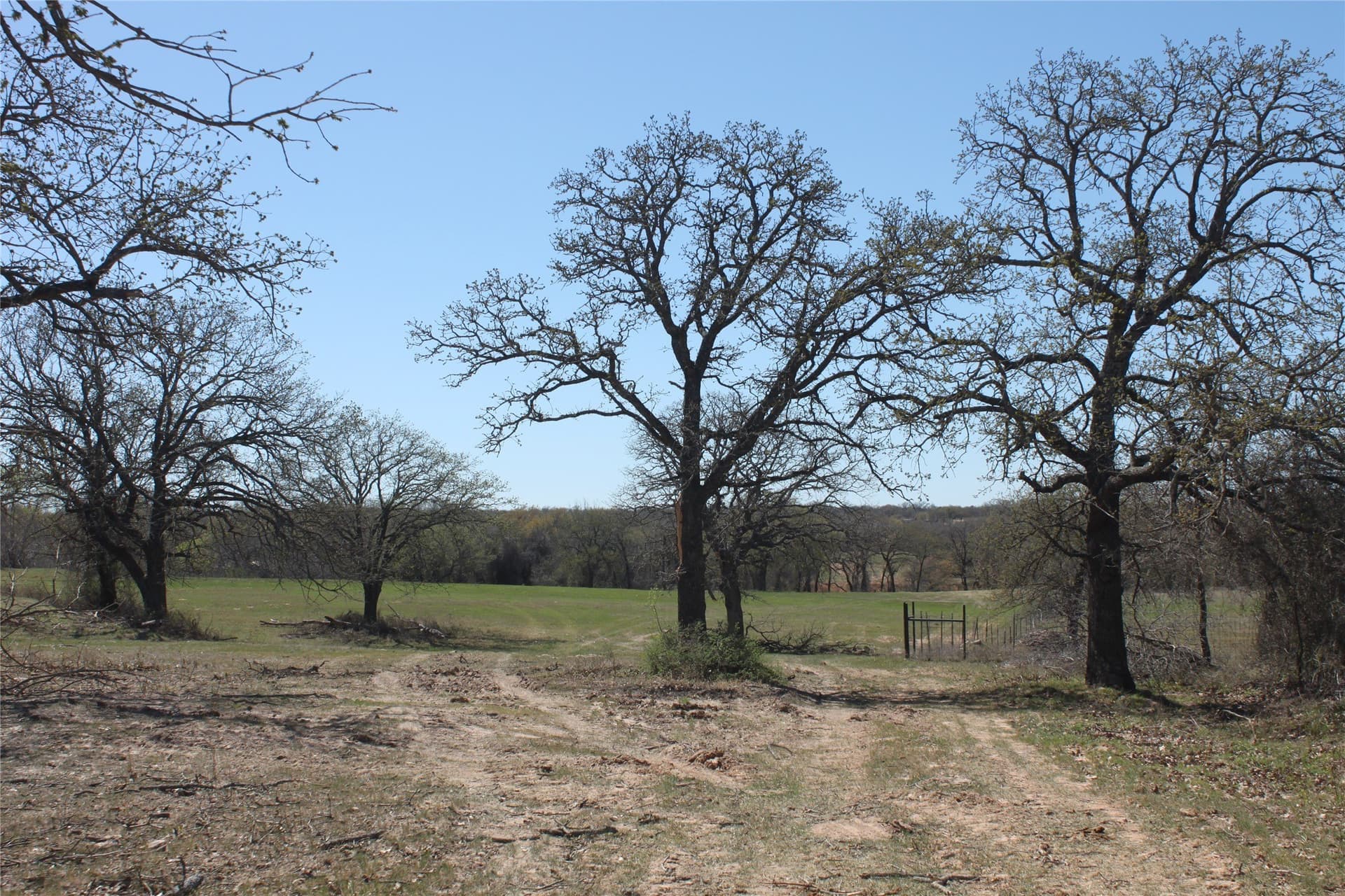 32.42 acres in Wise County - photo 5