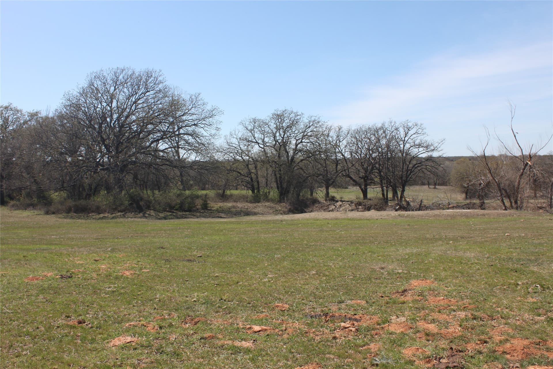 32.42 acres in Wise County - photo 28