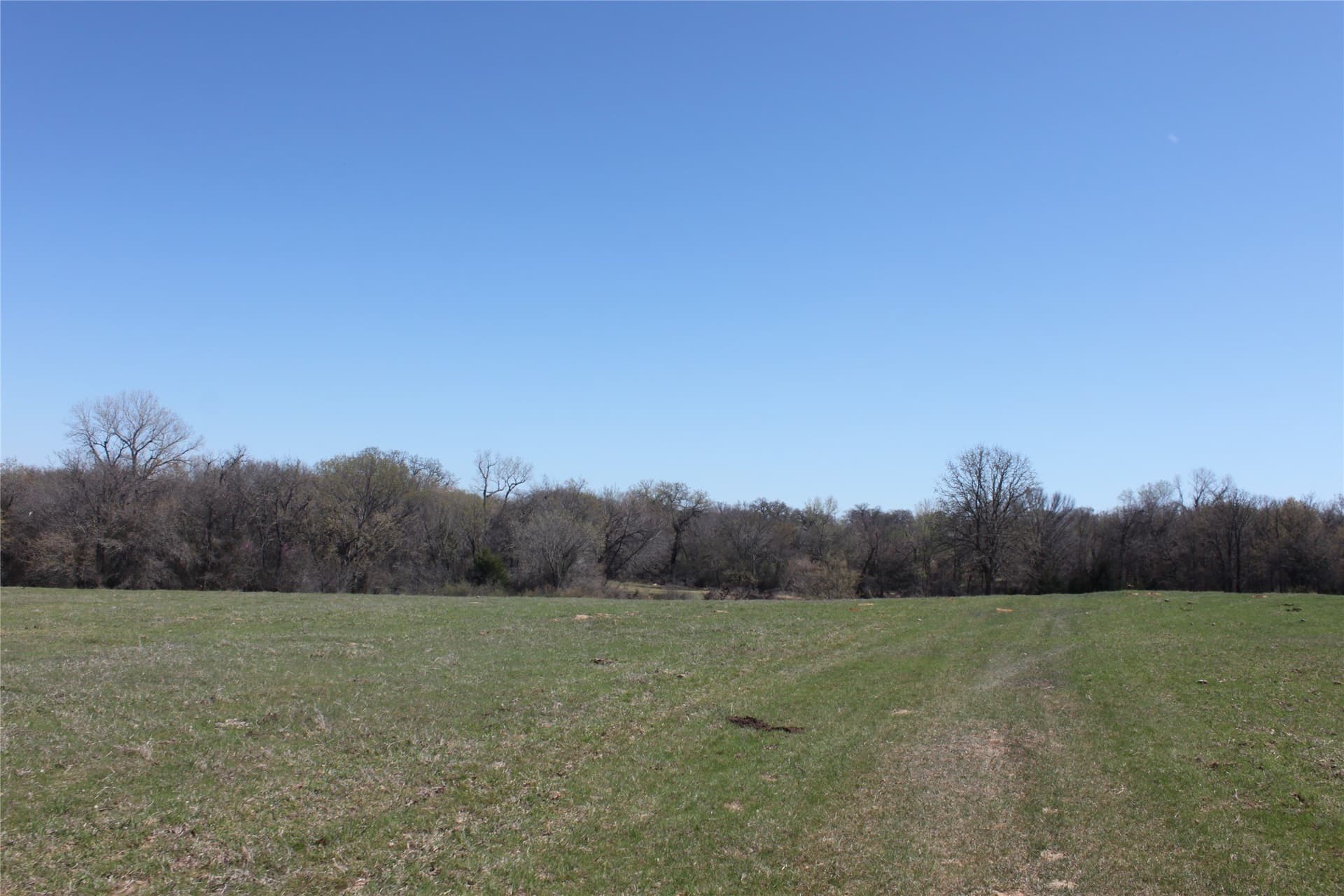 32.42 acres in Wise County - photo 20